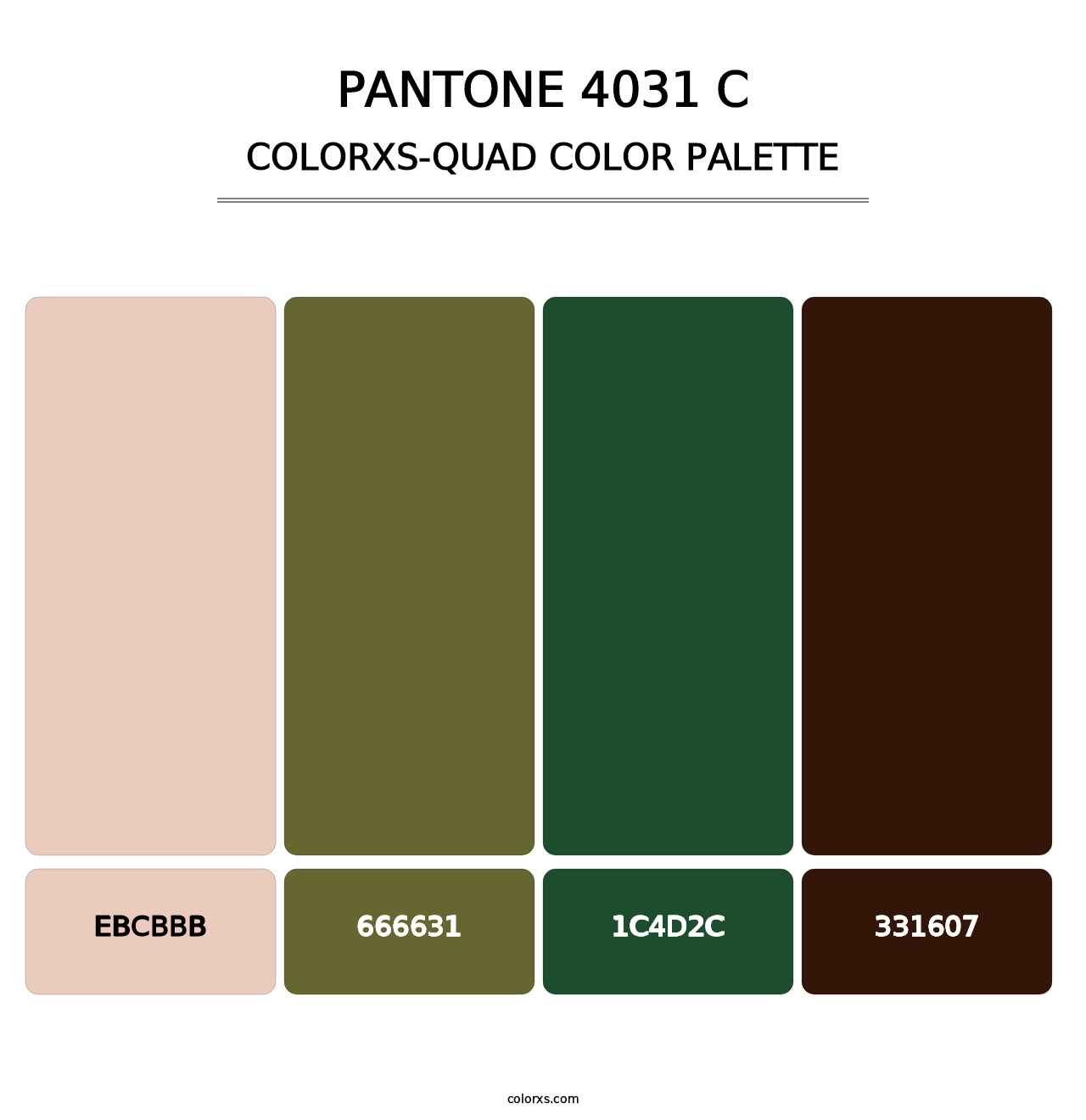PANTONE 4031 C - Colorxs Quad Palette