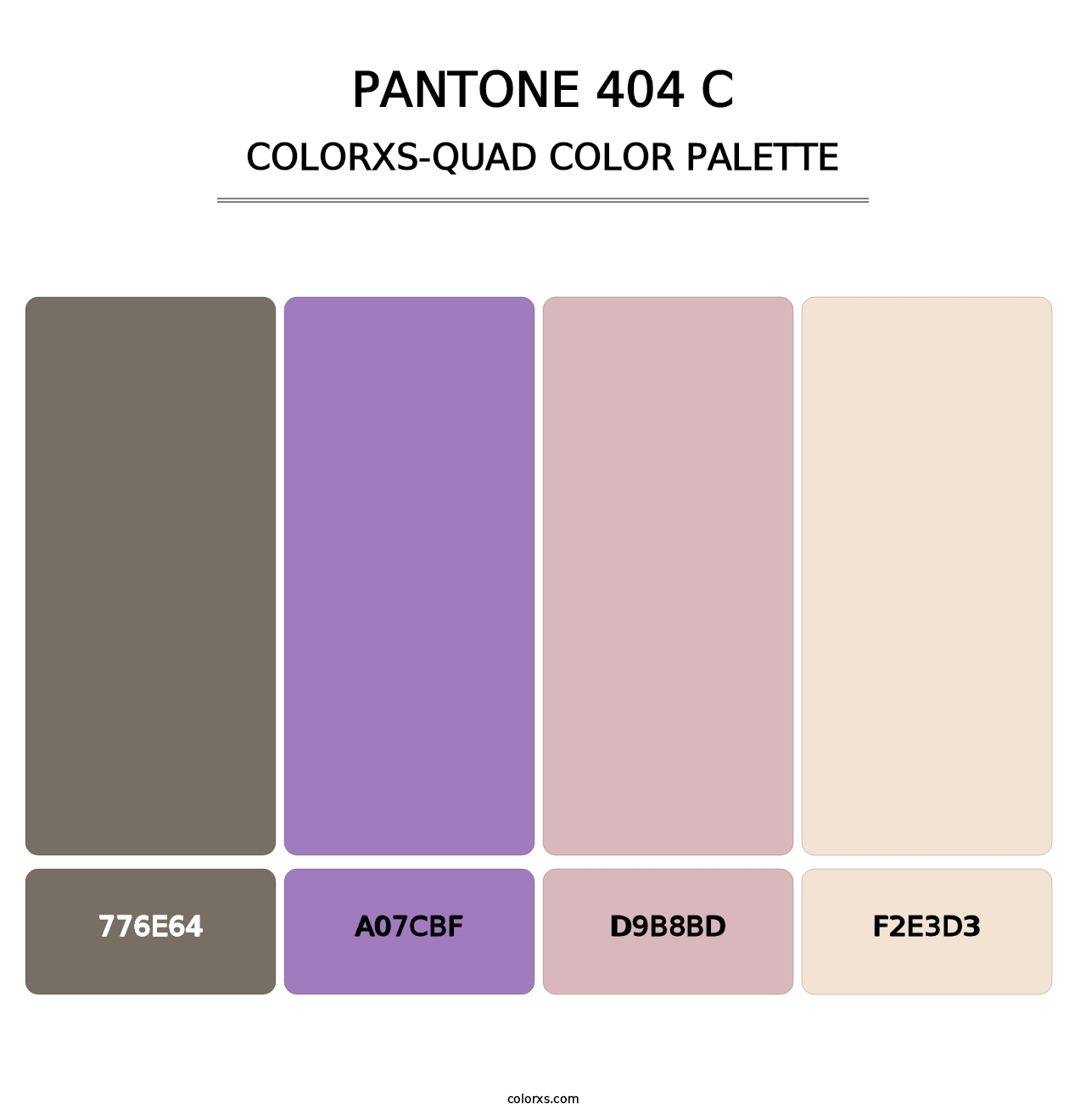 PANTONE 404 C - Colorxs Quad Palette