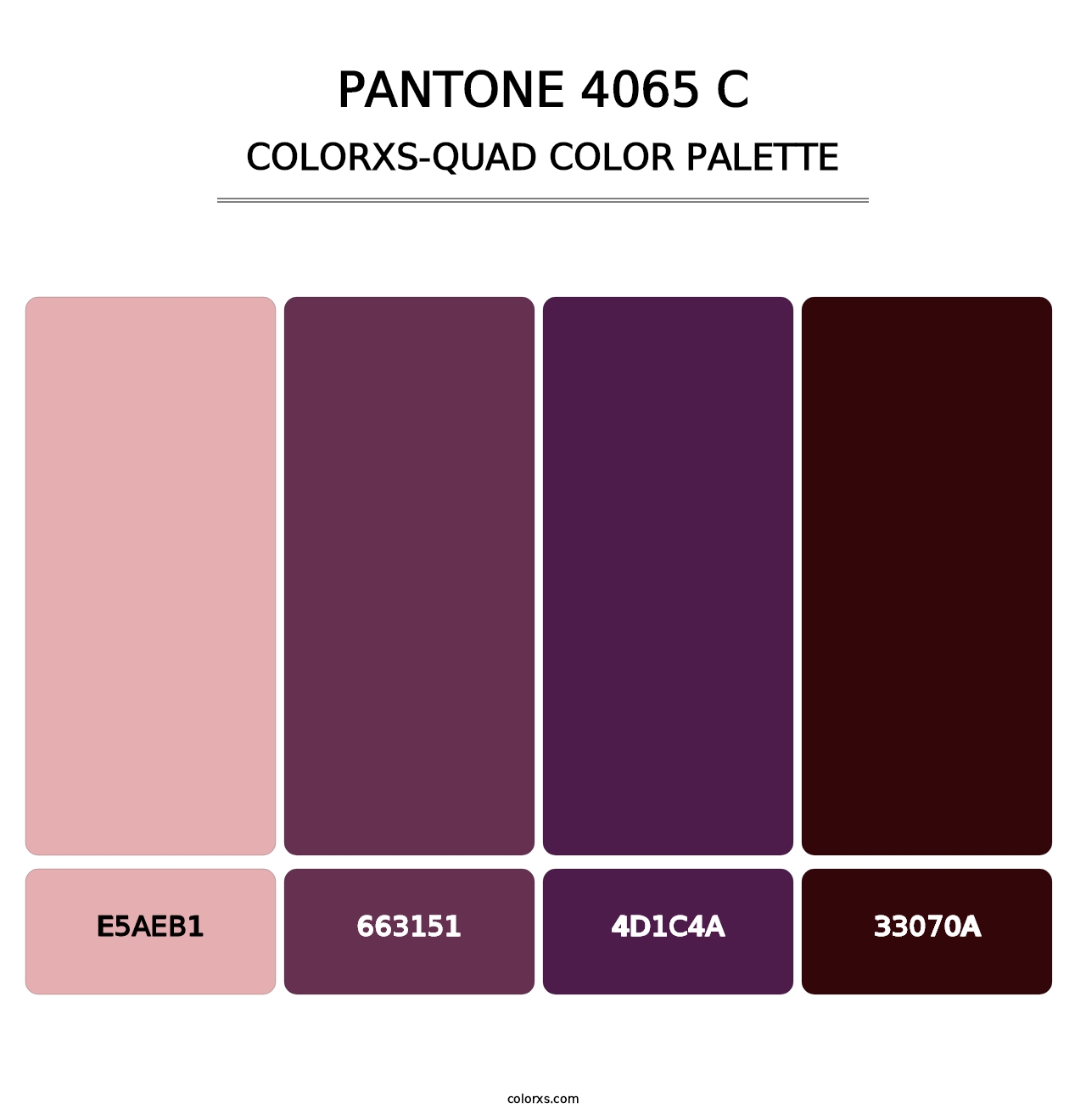 PANTONE 4065 C - Colorxs Quad Palette