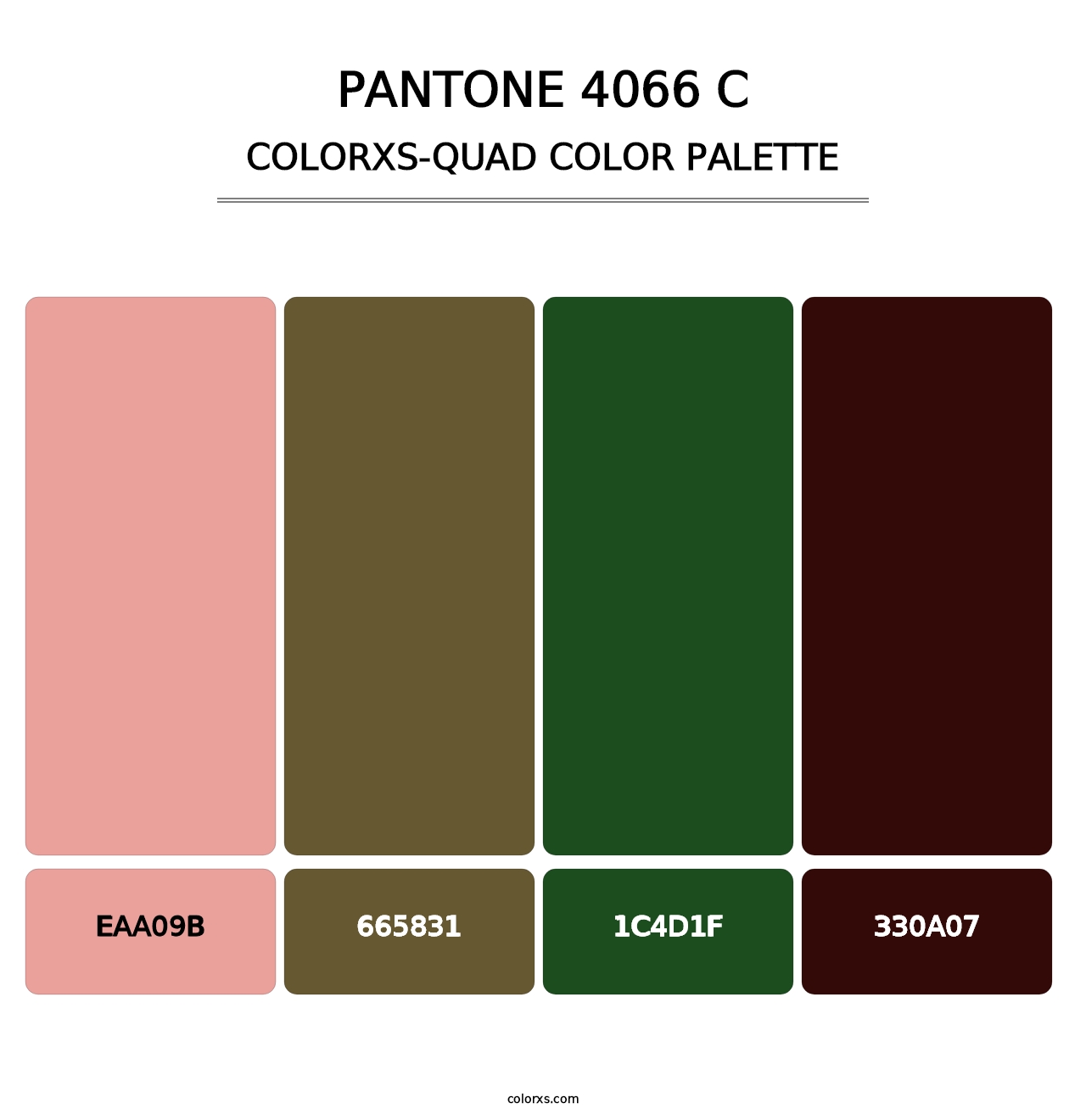 PANTONE 4066 C - Colorxs Quad Palette