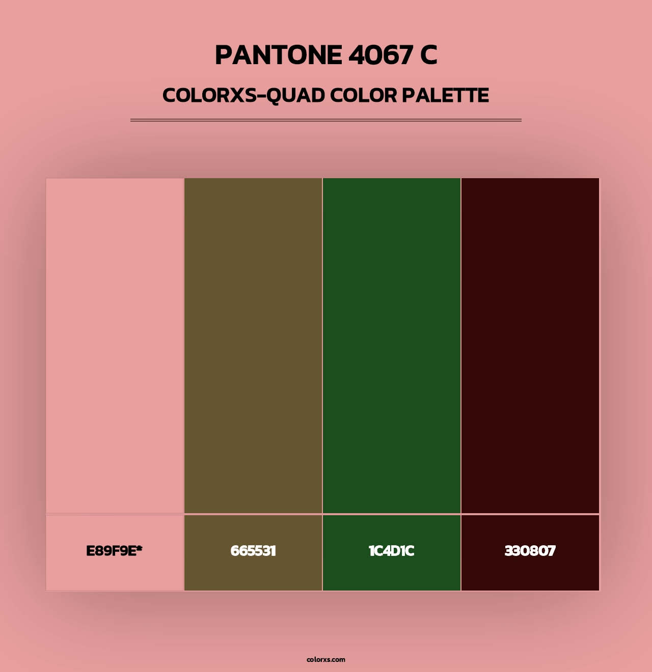 PANTONE 4067 C - Colorxs Quad Palette