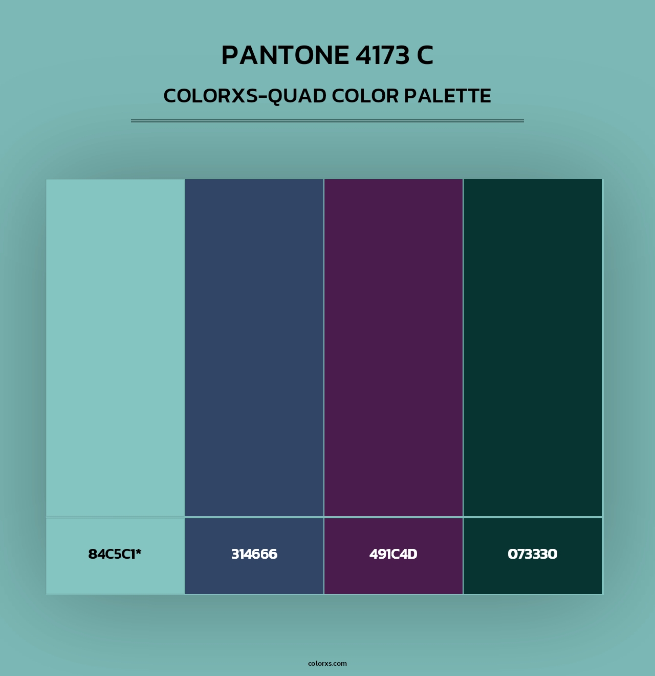 PANTONE 4173 C - Colorxs Quad Palette