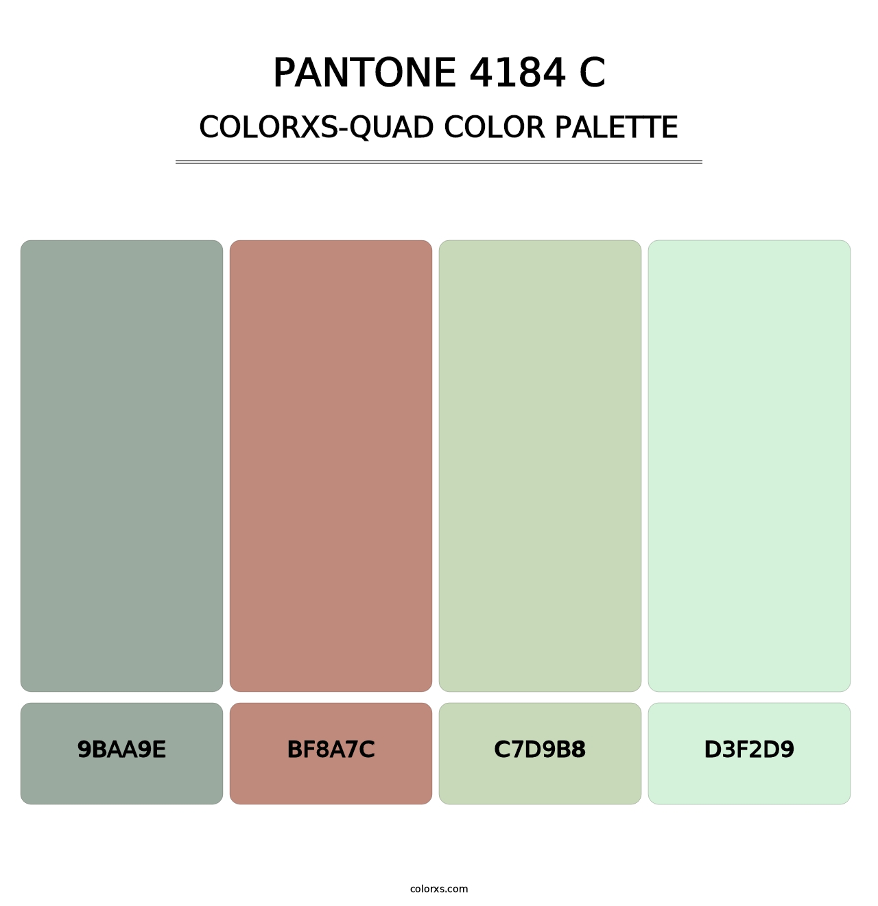 PANTONE 4184 C - Colorxs Quad Palette