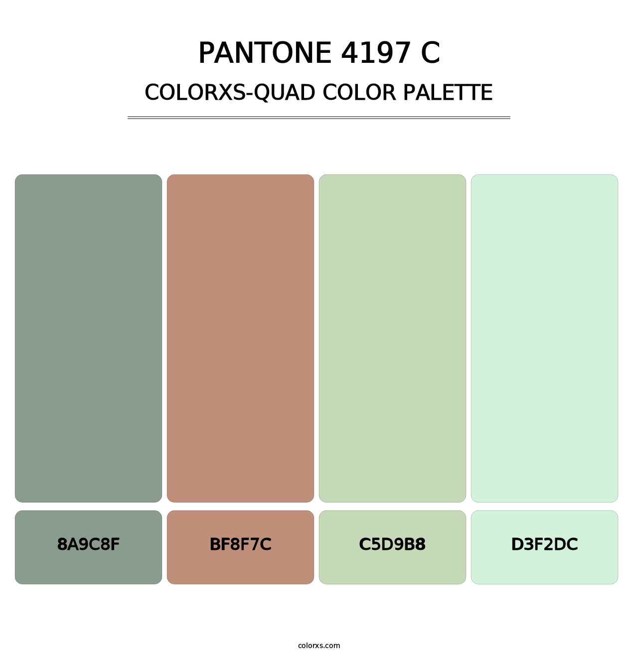 PANTONE 4197 C - Colorxs Quad Palette