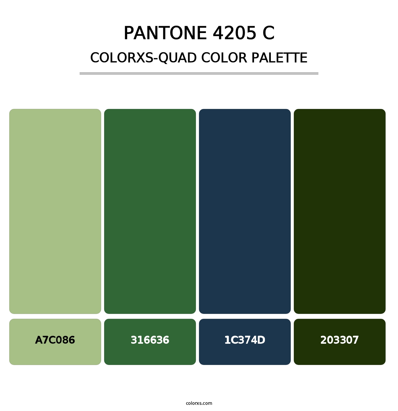 PANTONE 4205 C - Colorxs Quad Palette