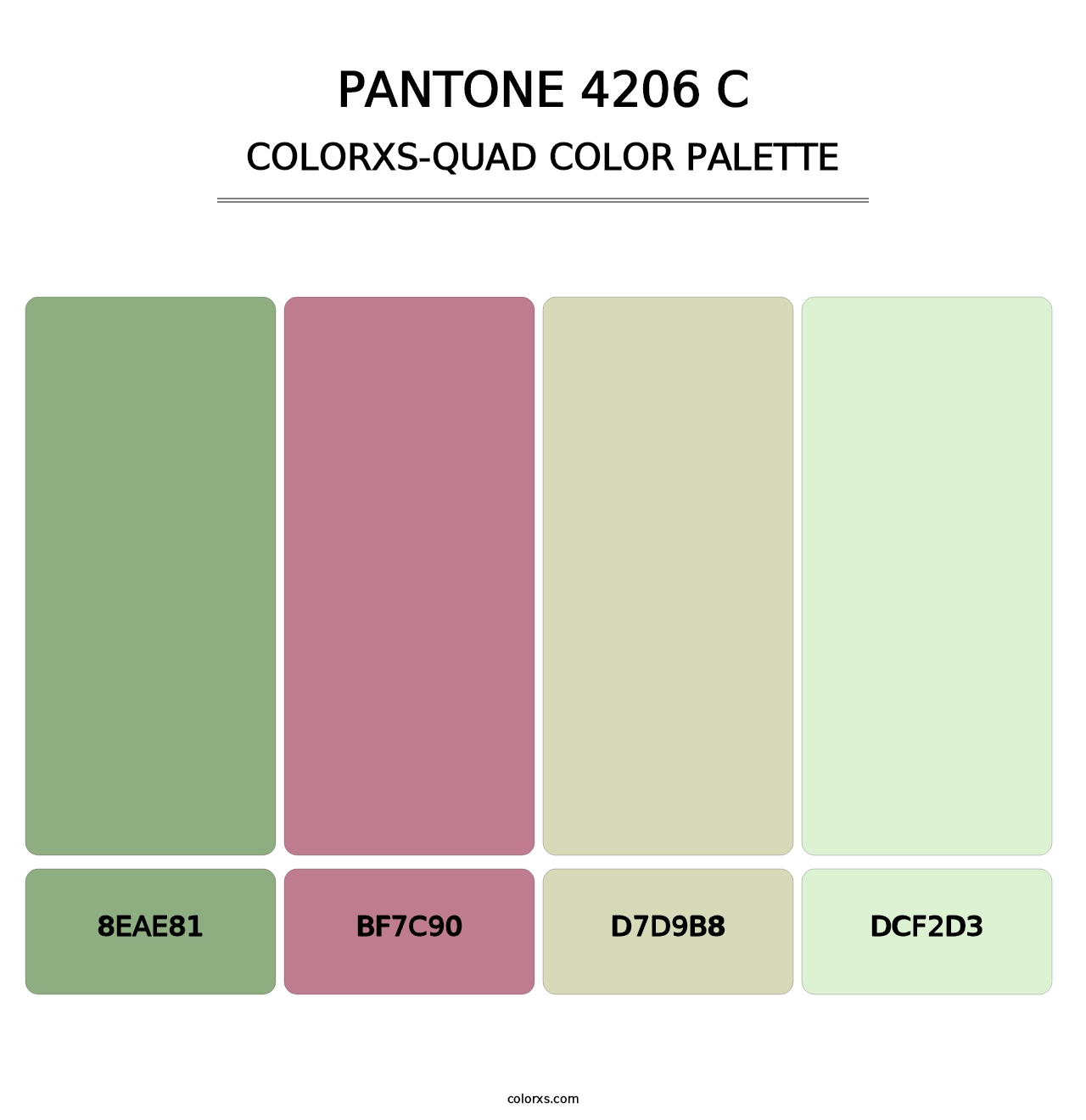 PANTONE 4206 C - Colorxs Quad Palette