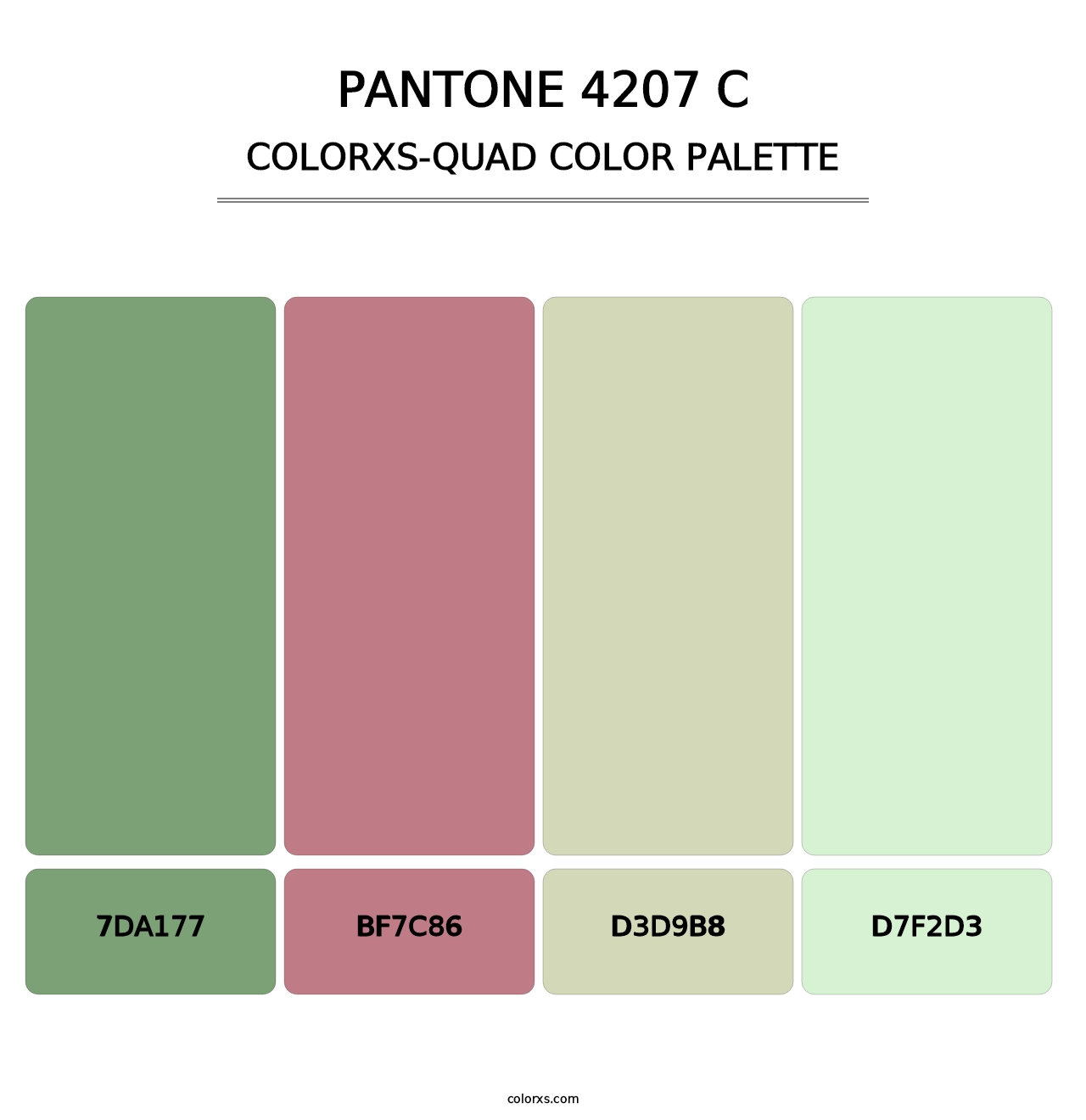PANTONE 4207 C - Colorxs Quad Palette
