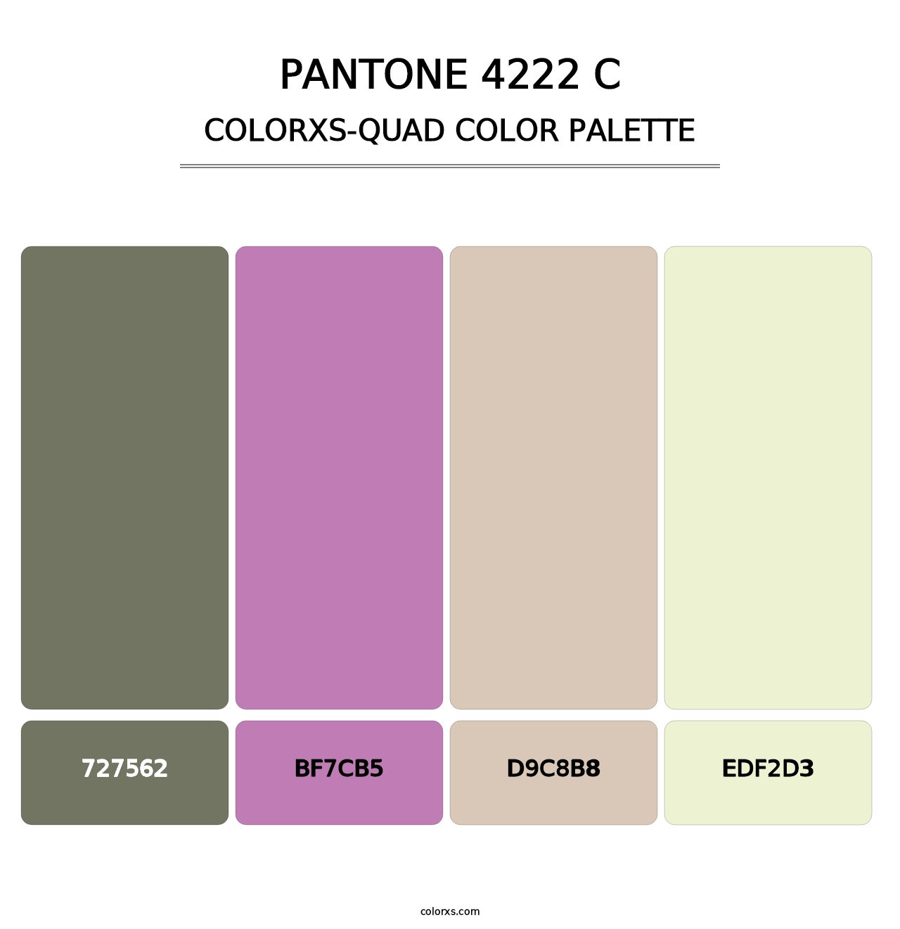 PANTONE 4222 C - Colorxs Quad Palette