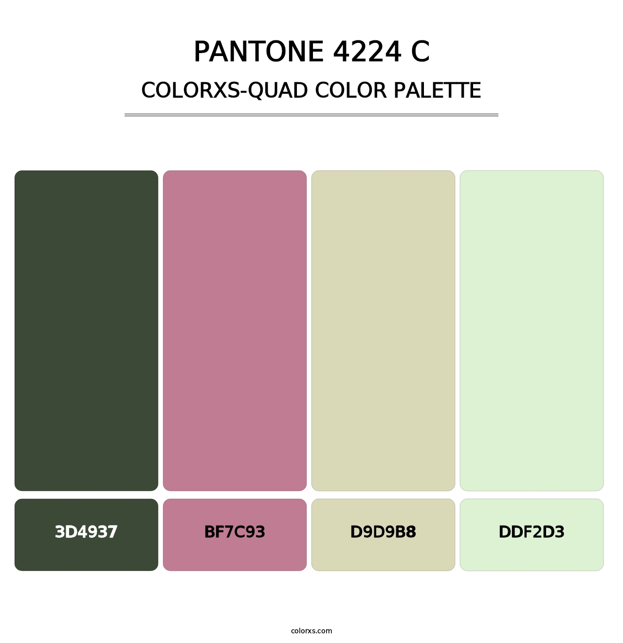 PANTONE 4224 C - Colorxs Quad Palette