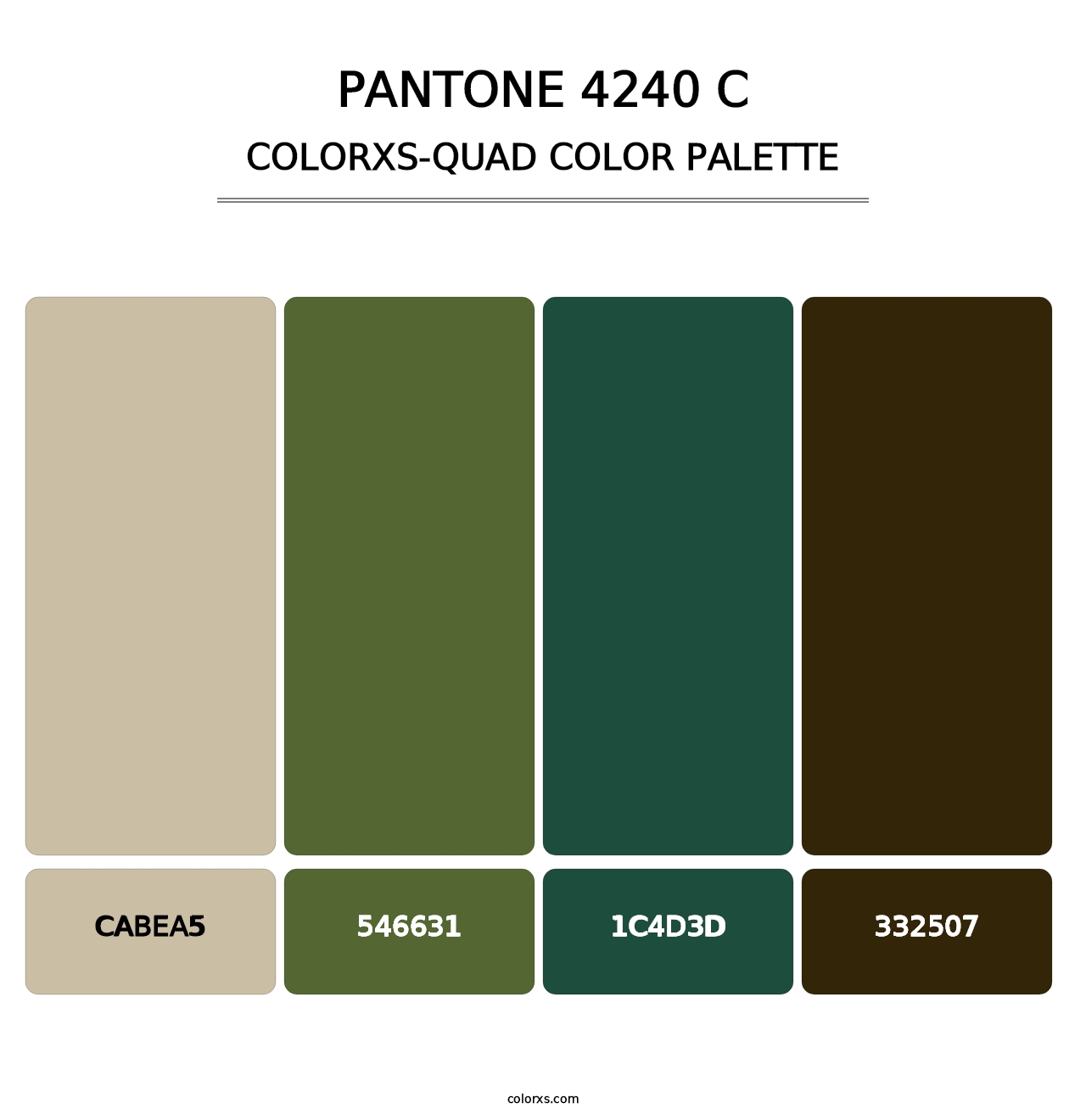 PANTONE 4240 C - Colorxs Quad Palette
