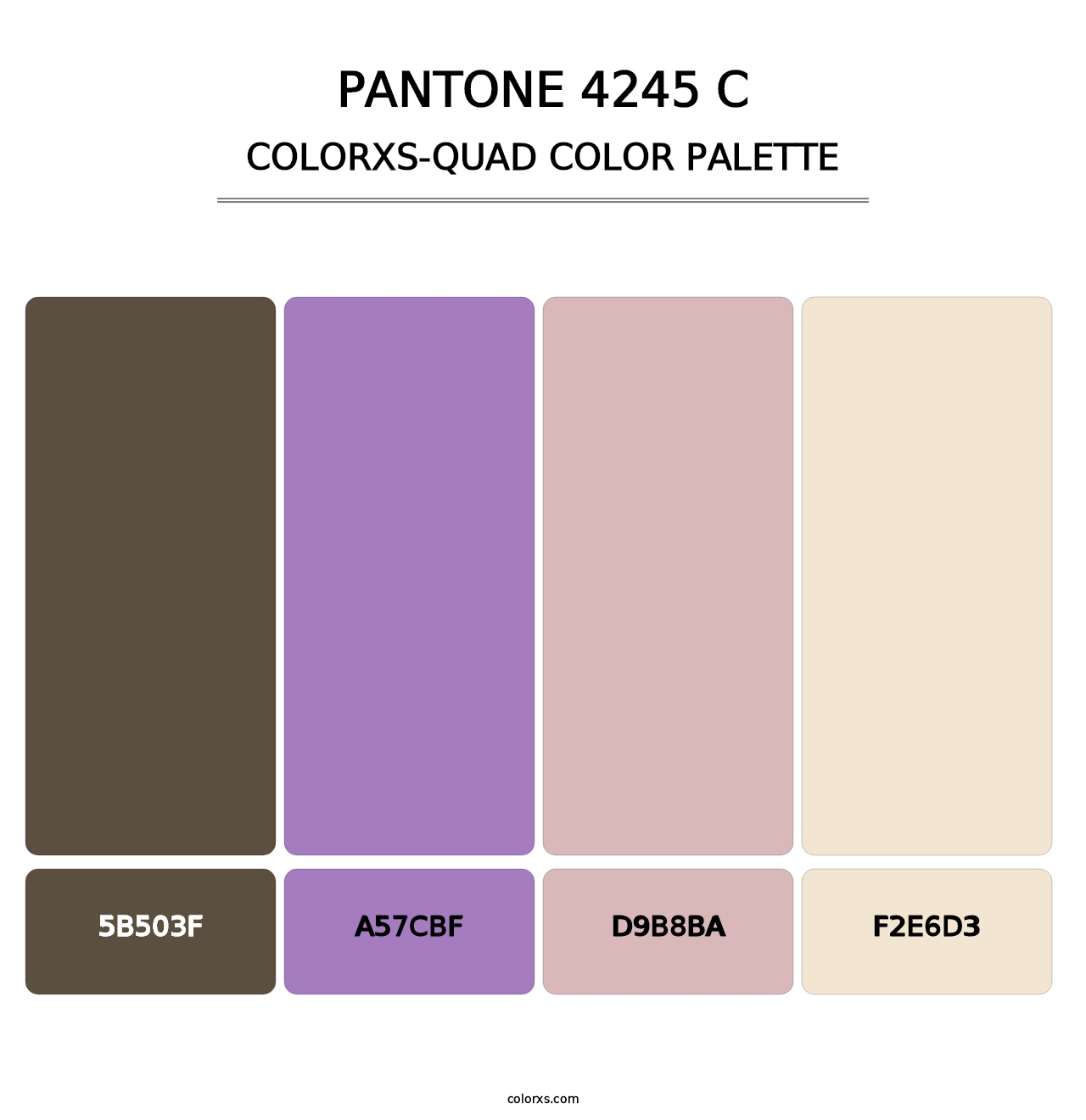 PANTONE 4245 C - Colorxs Quad Palette