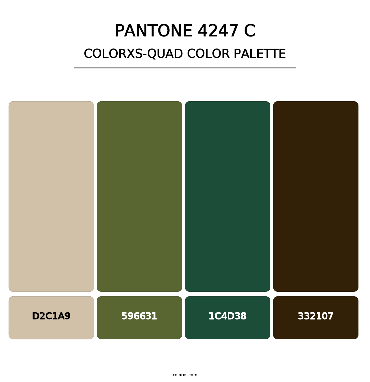PANTONE 4247 C - Colorxs Quad Palette