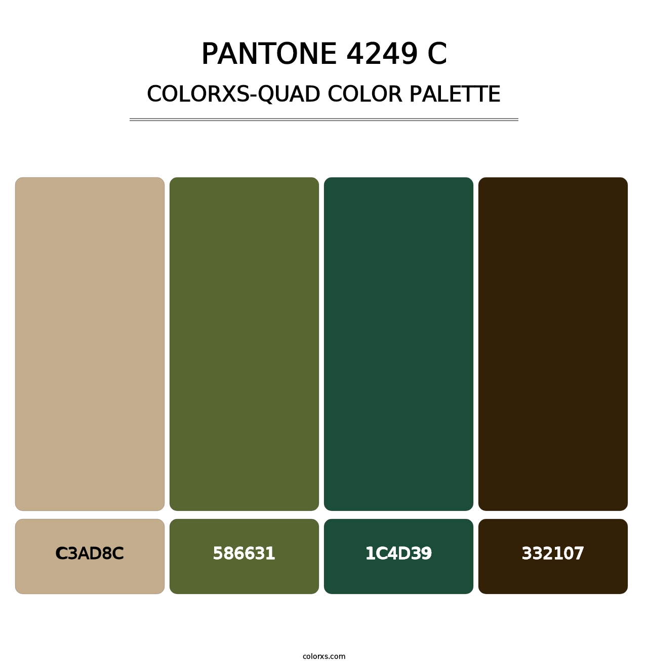 PANTONE 4249 C - Colorxs Quad Palette