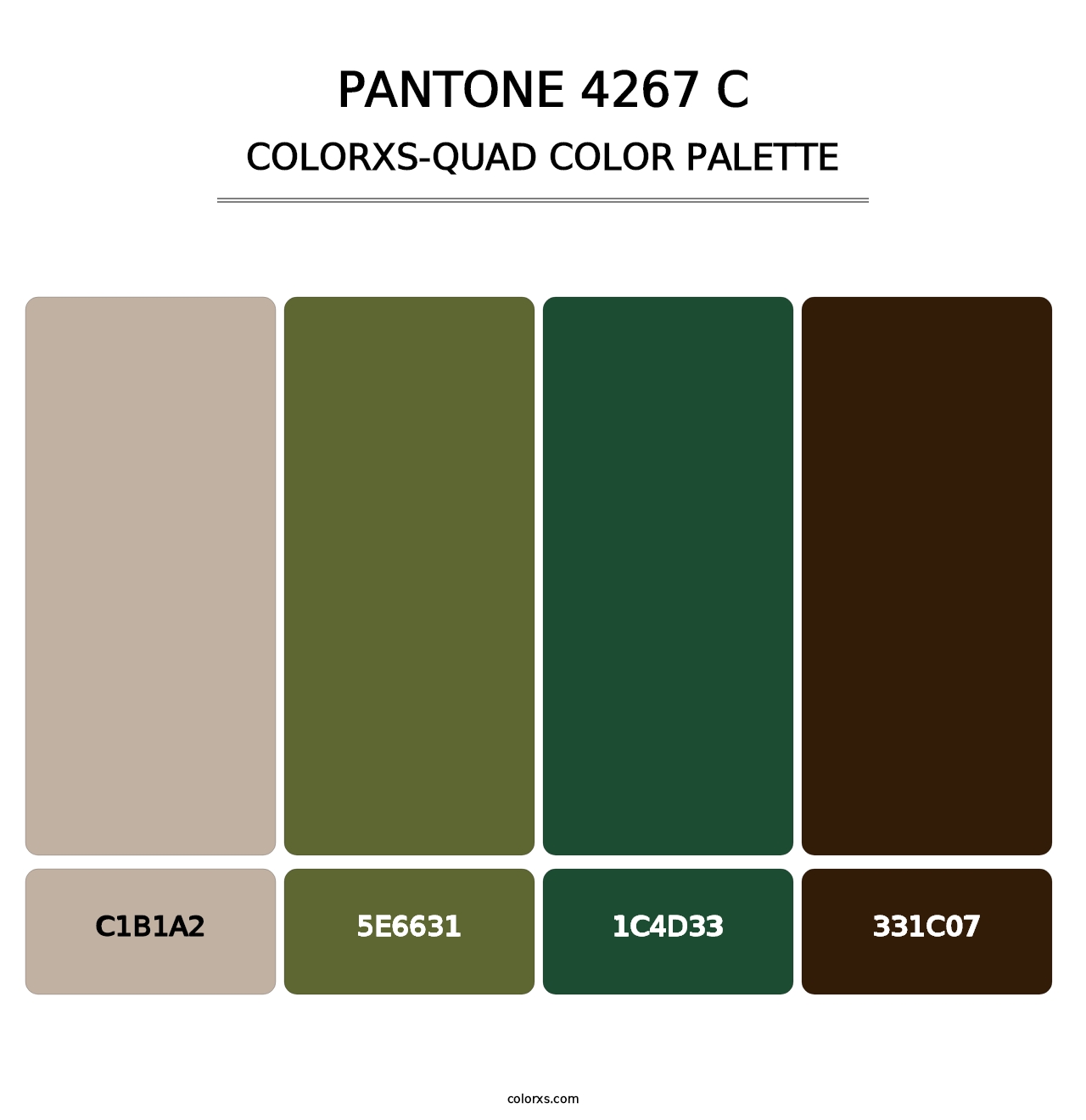 PANTONE 4267 C - Colorxs Quad Palette