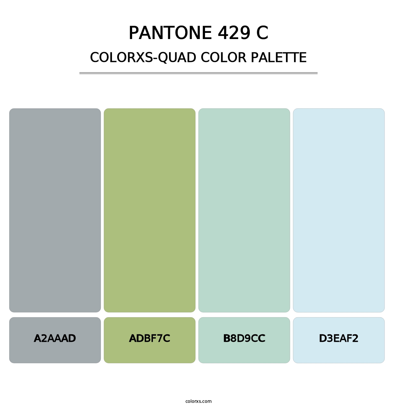 PANTONE 429 C - Colorxs Quad Palette