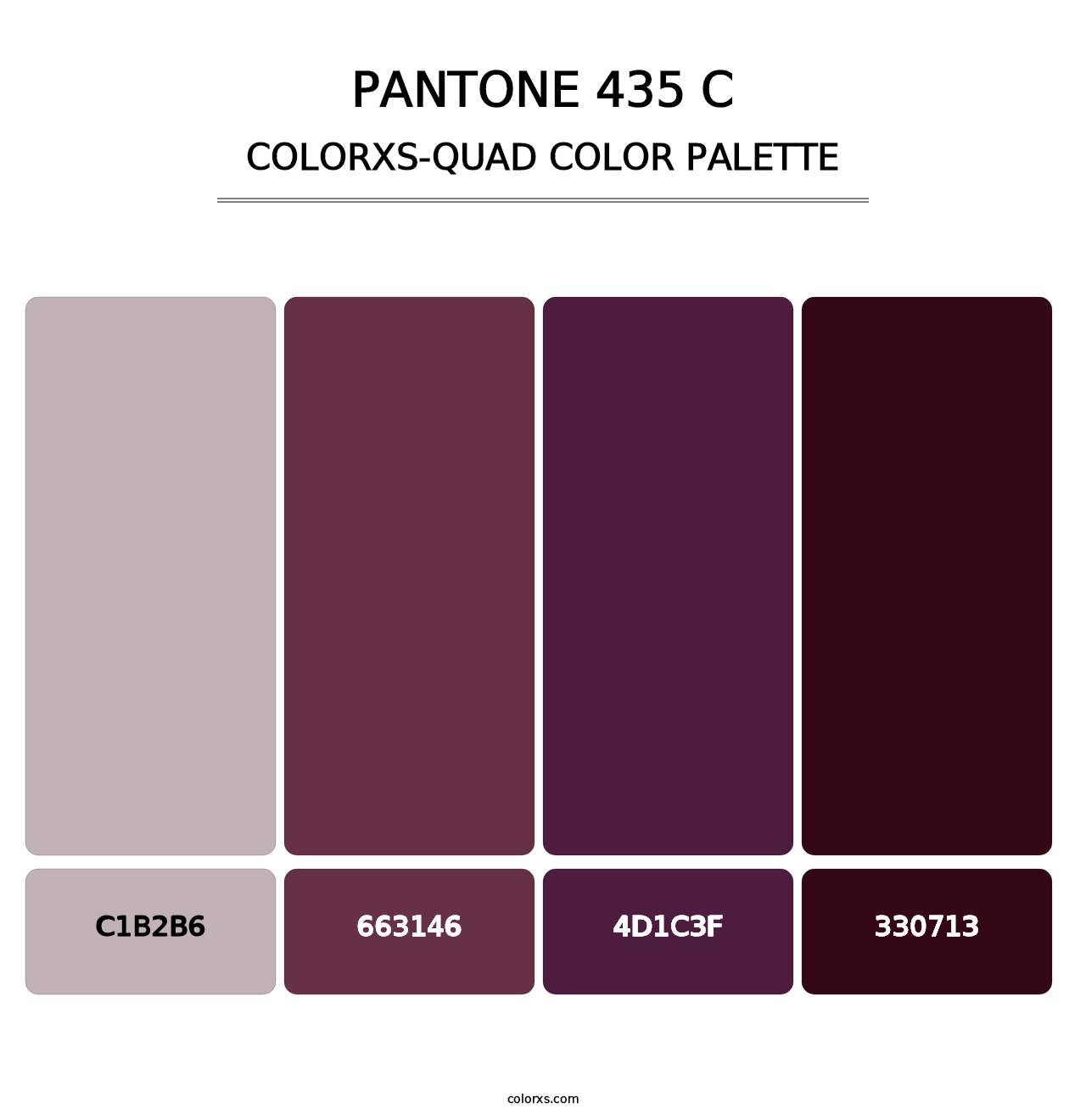 PANTONE 435 C - Colorxs Quad Palette