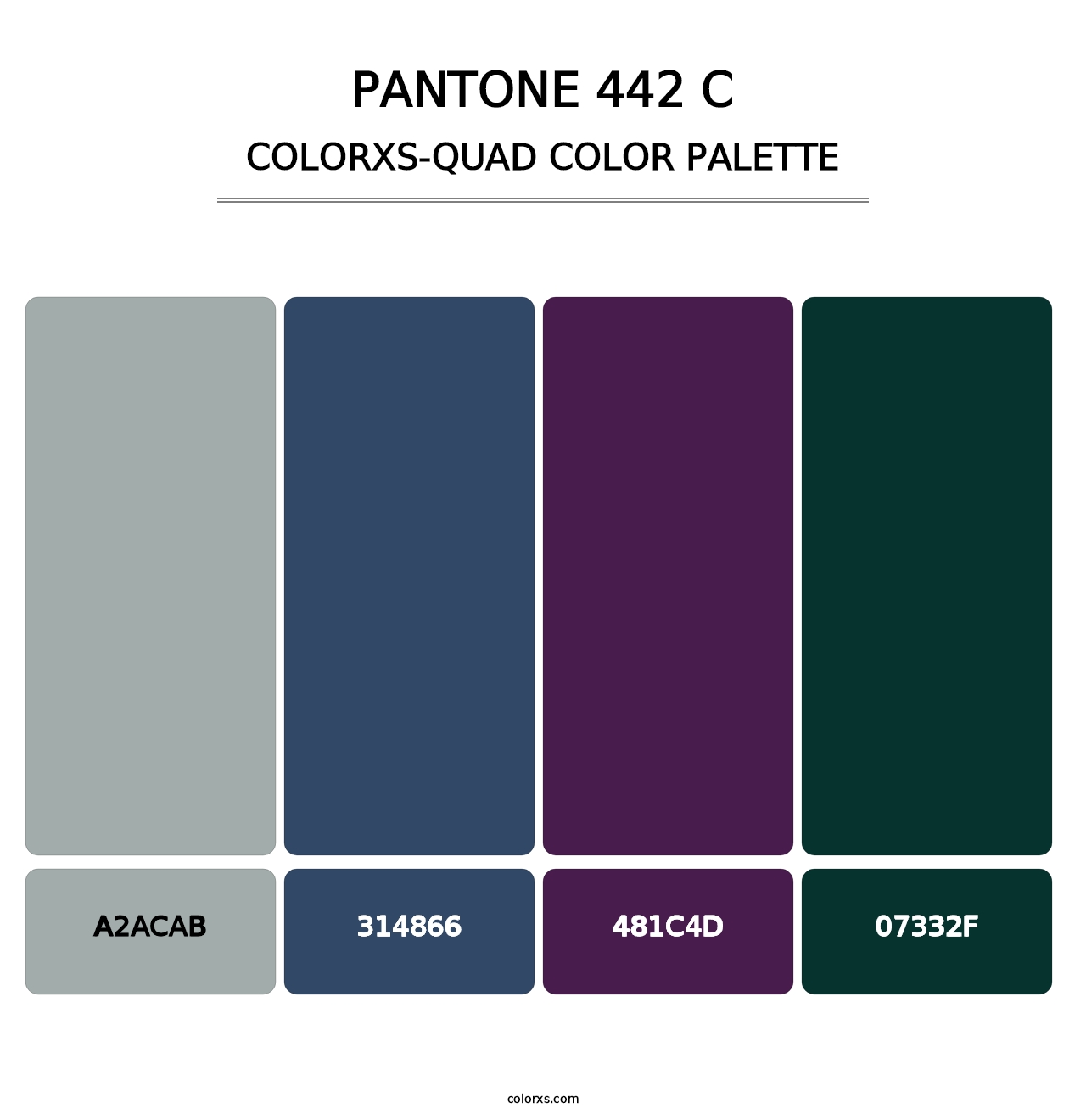 PANTONE 442 C - Colorxs Quad Palette