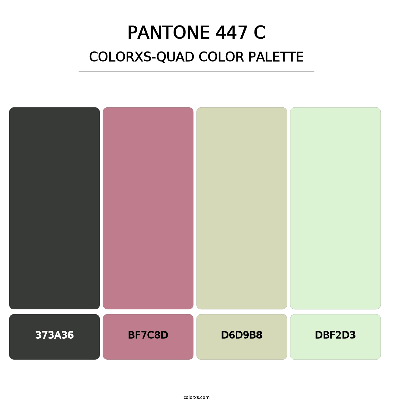 PANTONE 447 C - Colorxs Quad Palette