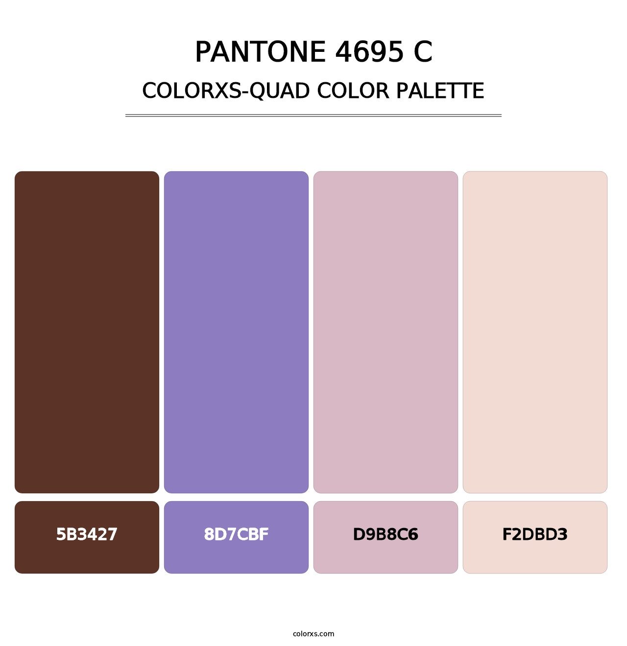 PANTONE 4695 C - Colorxs Quad Palette