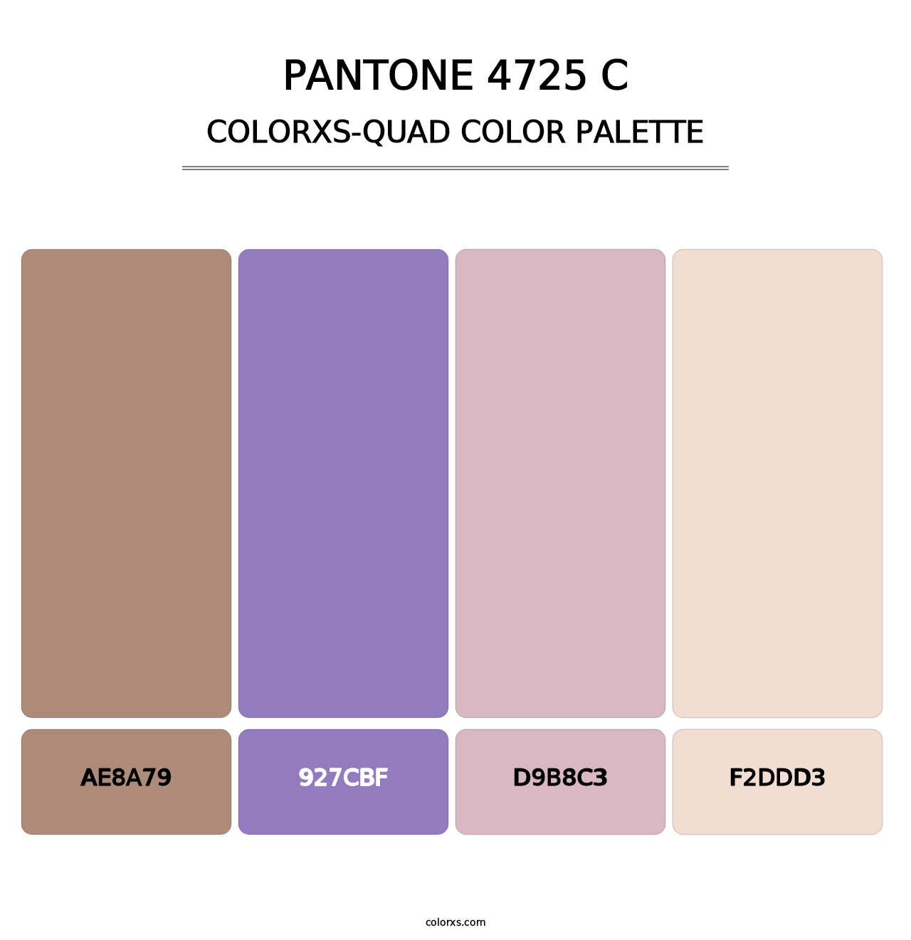 PANTONE 4725 C - Colorxs Quad Palette