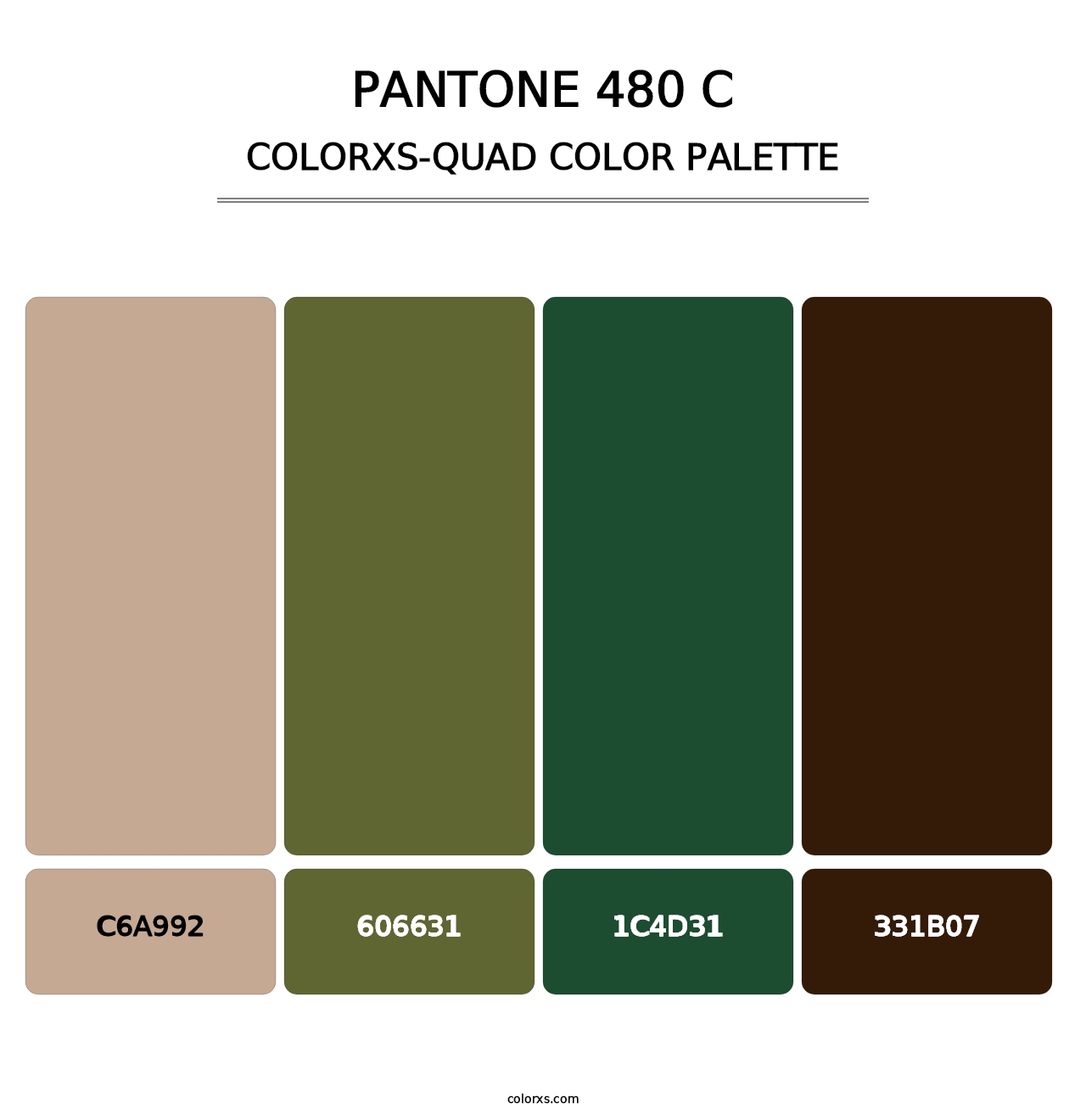 PANTONE 480 C - Colorxs Quad Palette