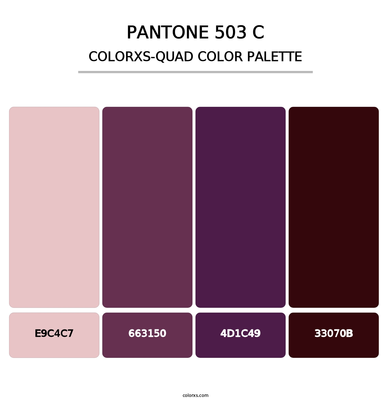 PANTONE 503 C - Colorxs Quad Palette