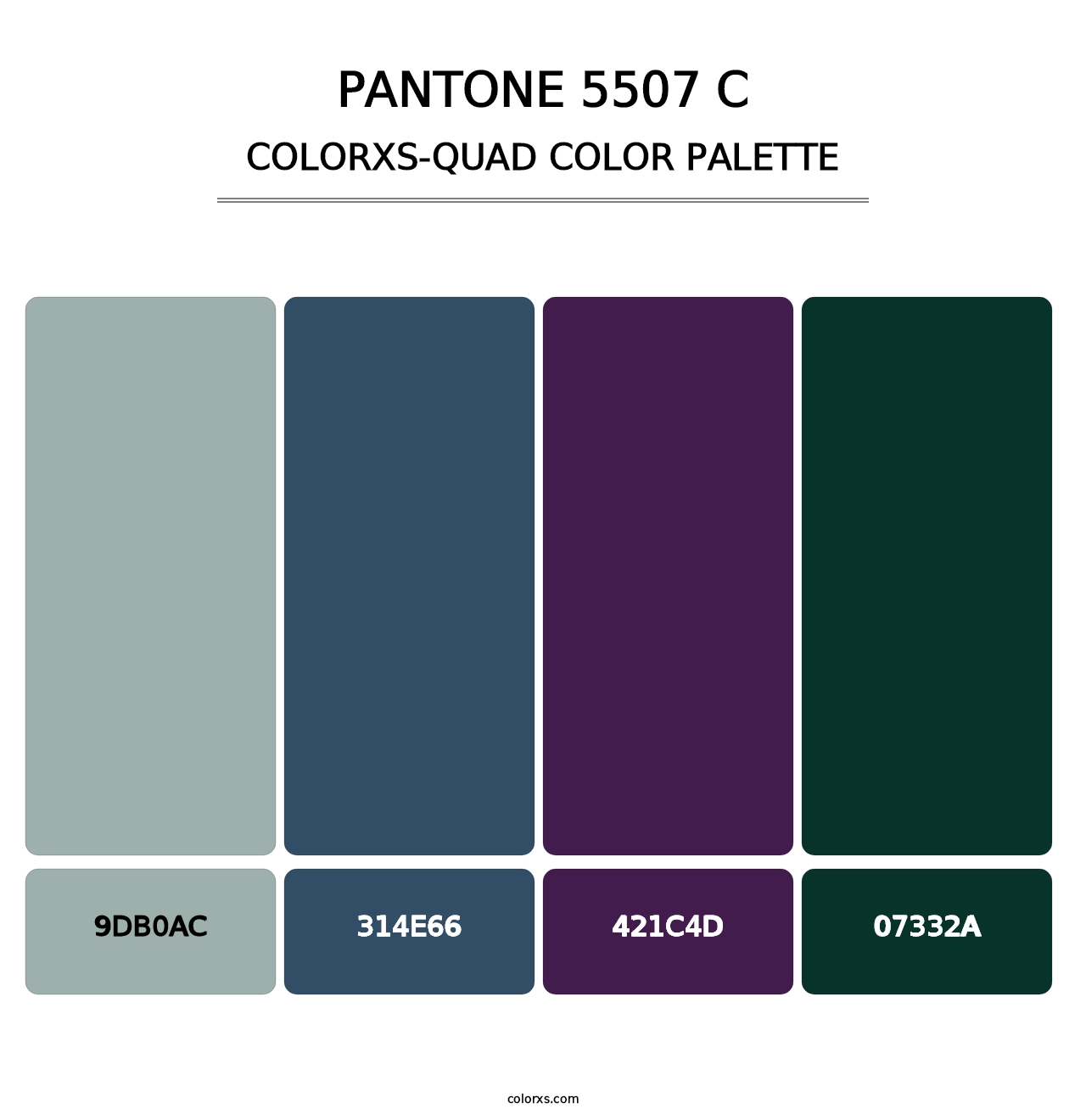 PANTONE 5507 C - Colorxs Quad Palette
