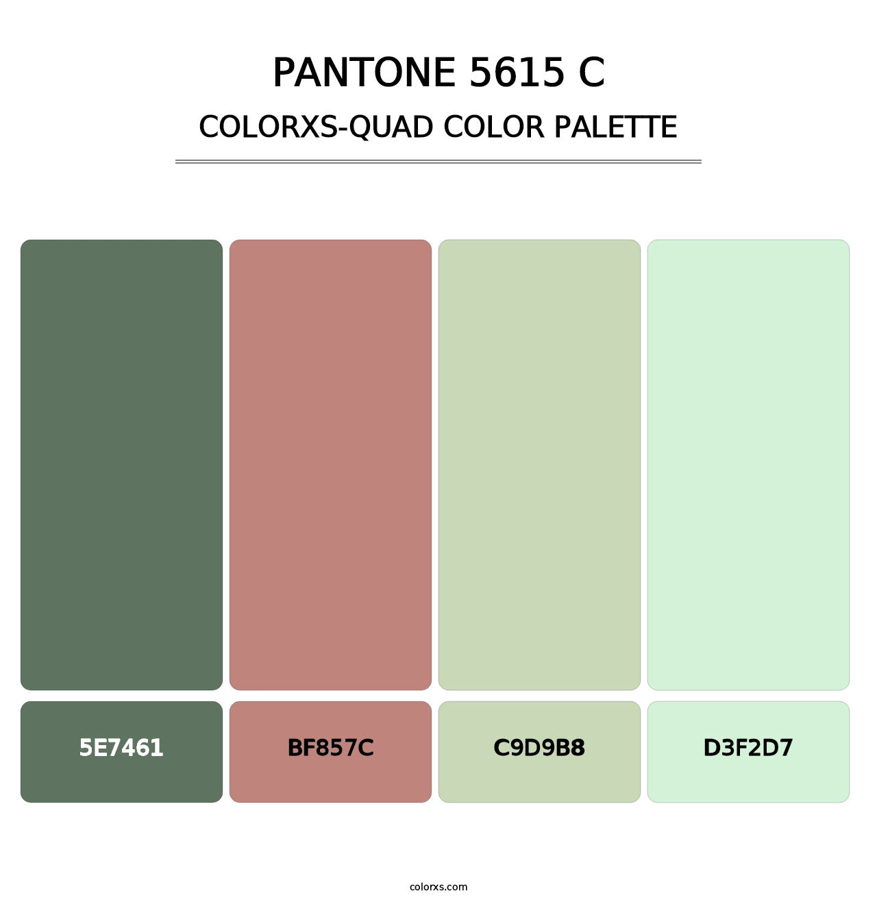PANTONE 5615 C - Colorxs Quad Palette