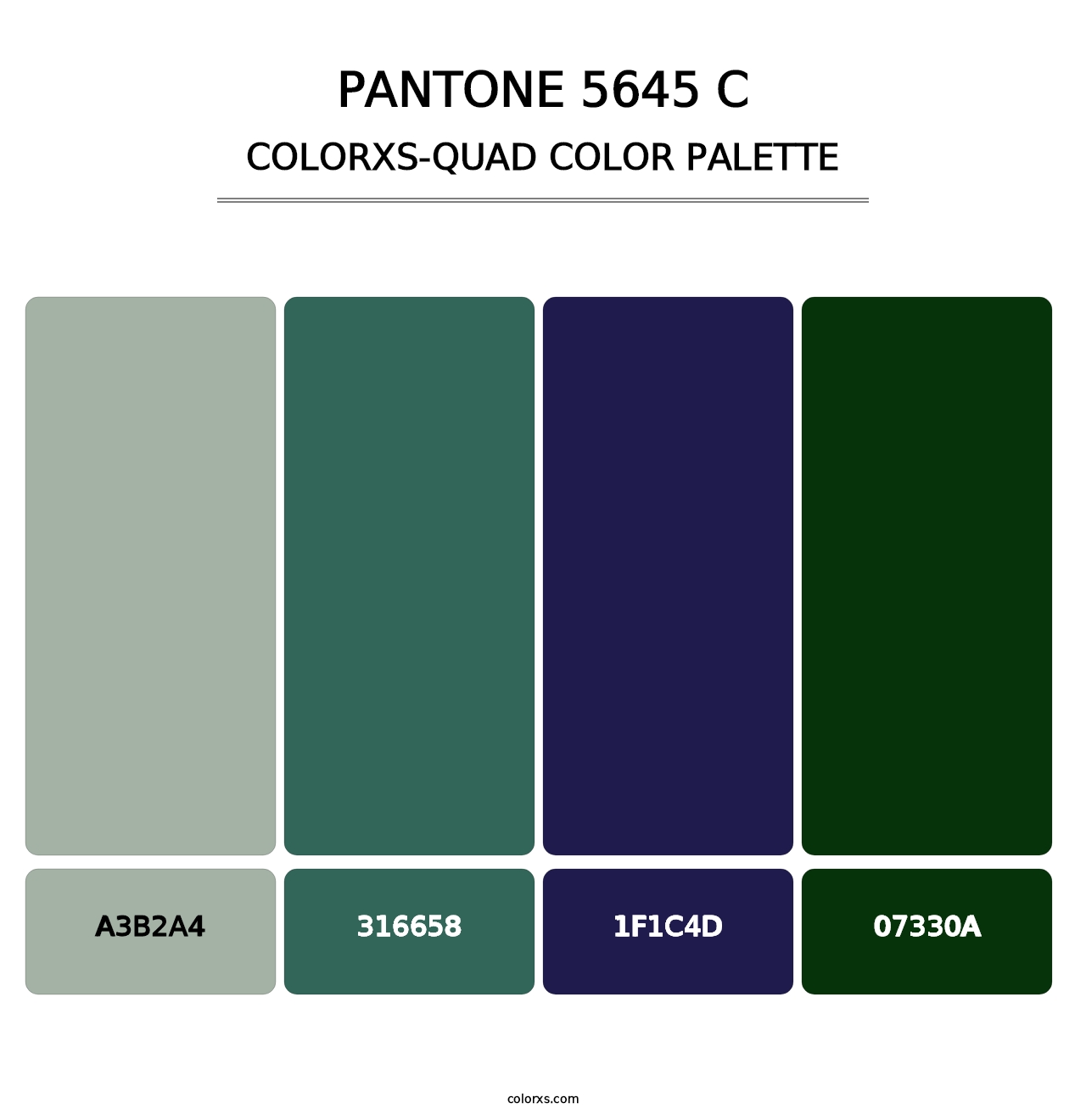 PANTONE 5645 C - Colorxs Quad Palette