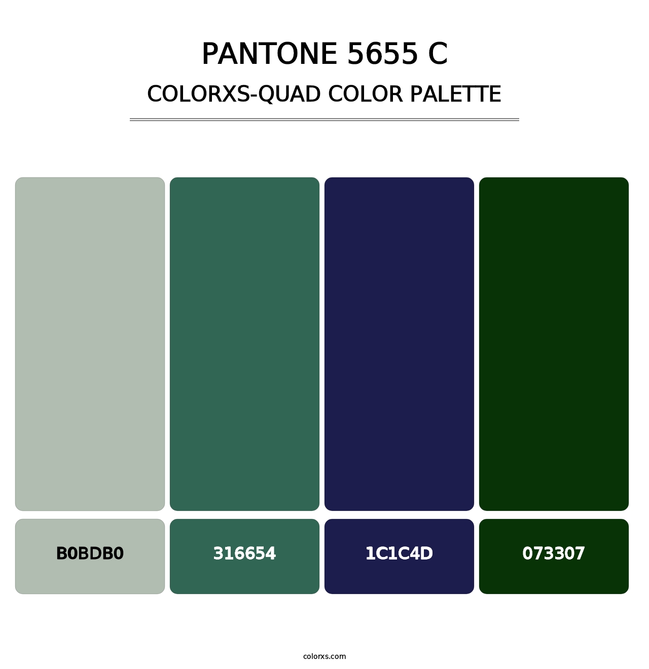 PANTONE 5655 C - Colorxs Quad Palette