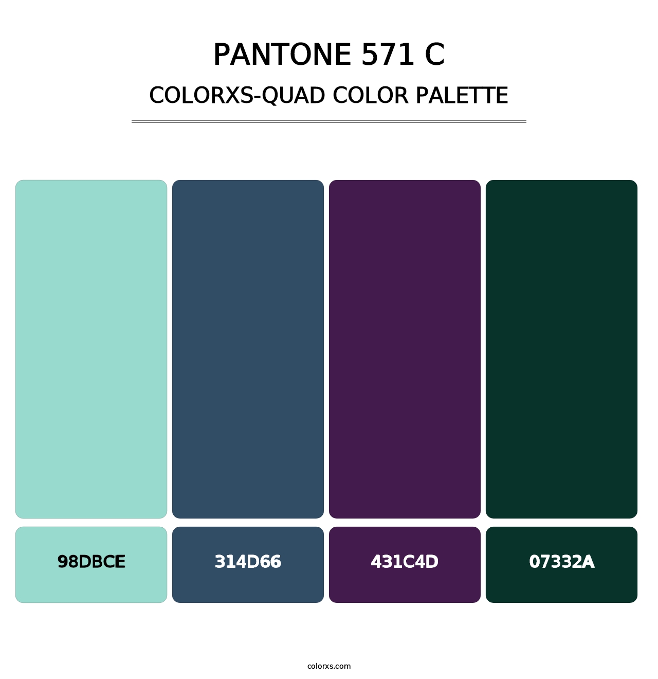 PANTONE 571 C - Colorxs Quad Palette
