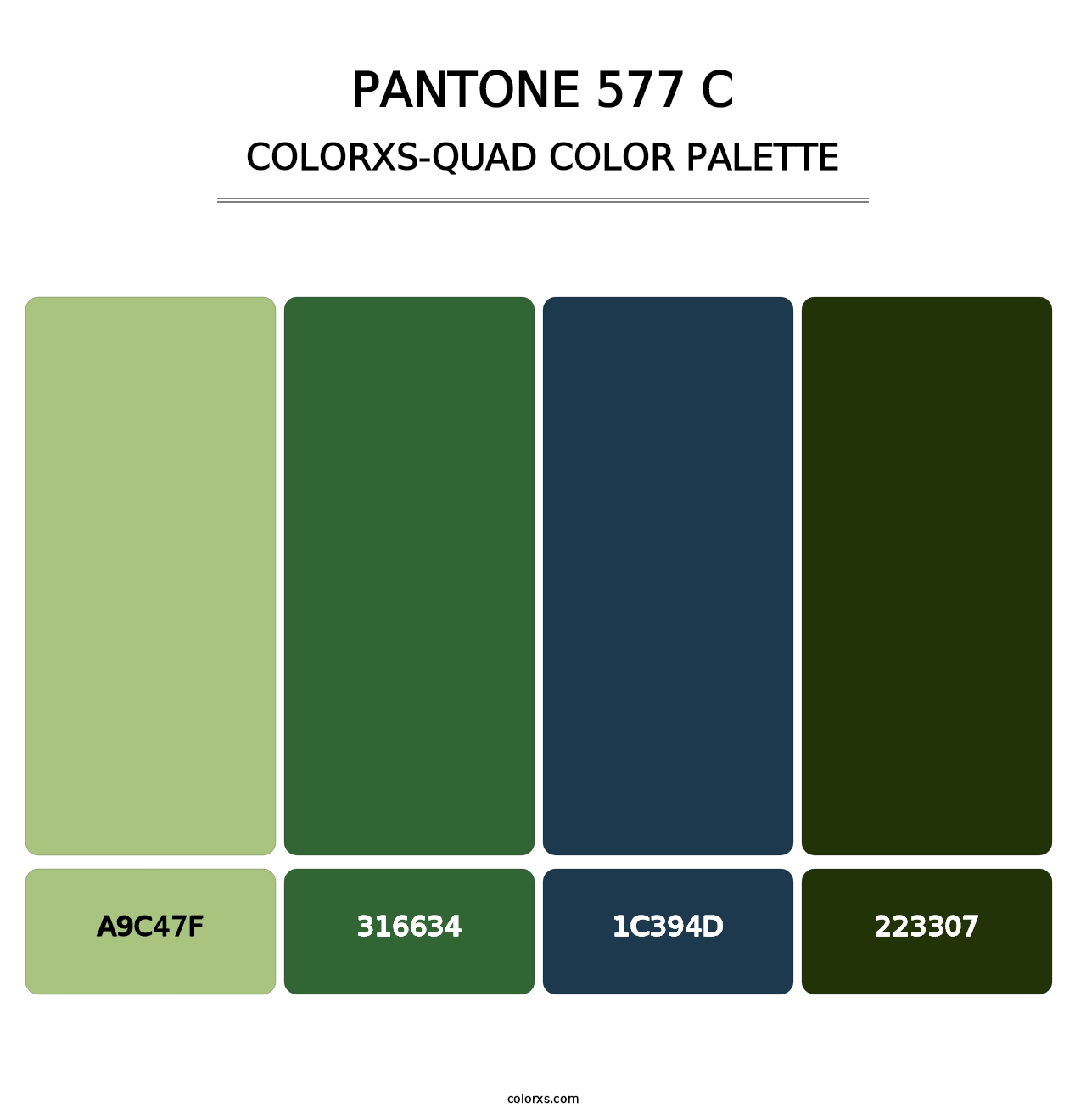 PANTONE 577 C - Colorxs Quad Palette