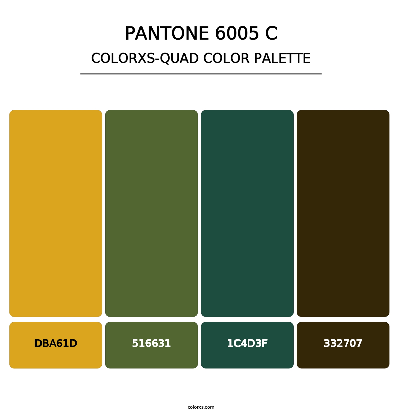 PANTONE 6005 C - Colorxs Quad Palette