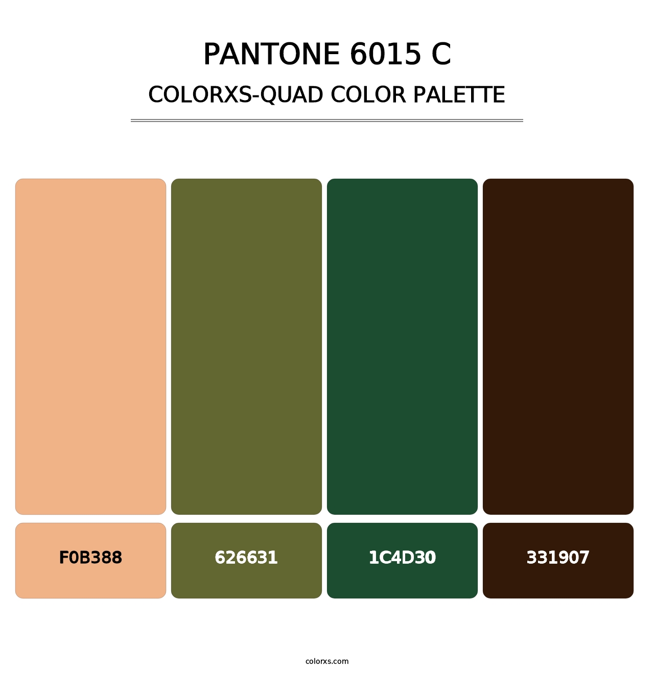 PANTONE 6015 C - Colorxs Quad Palette