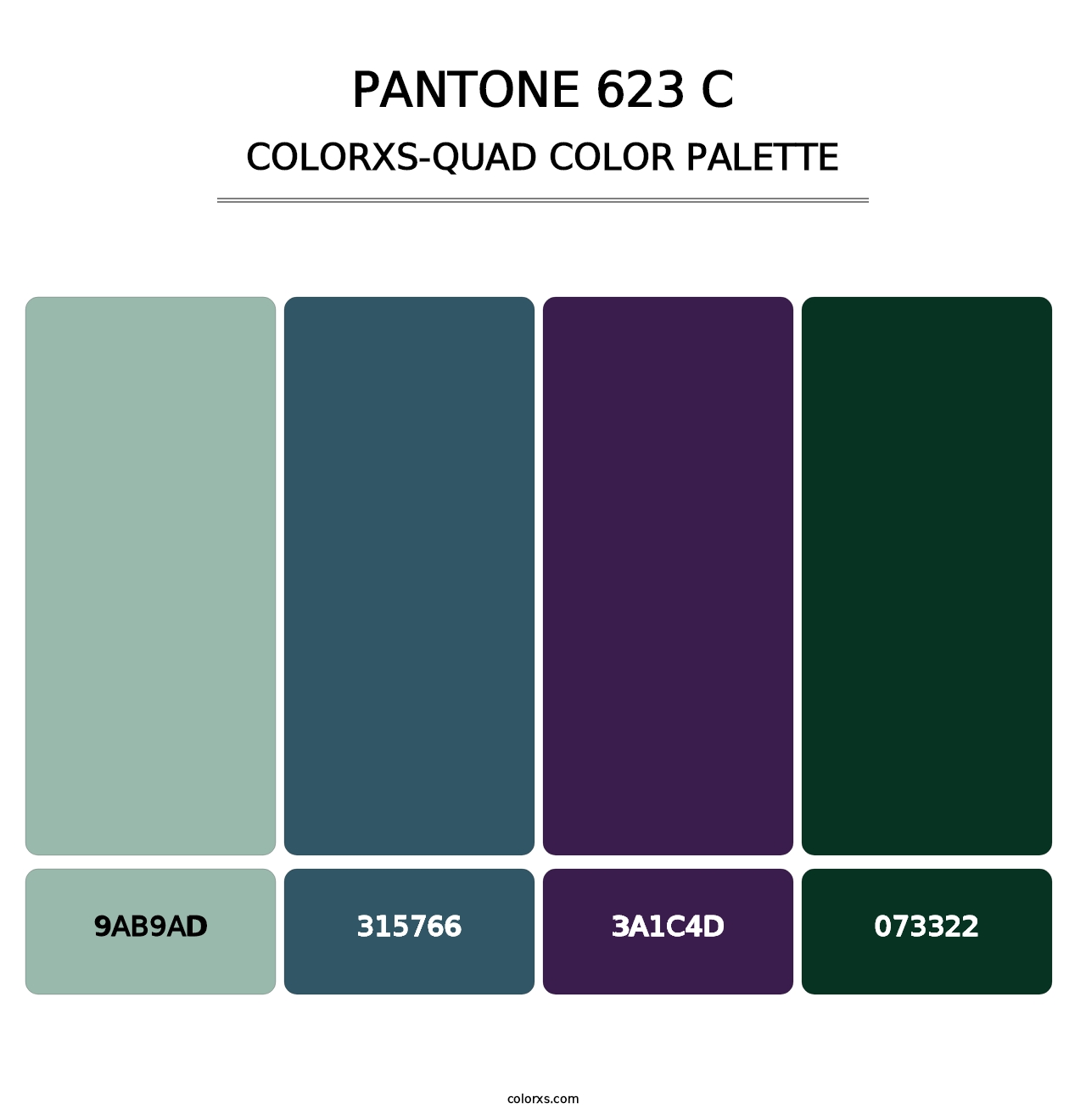 PANTONE 623 C - Colorxs Quad Palette