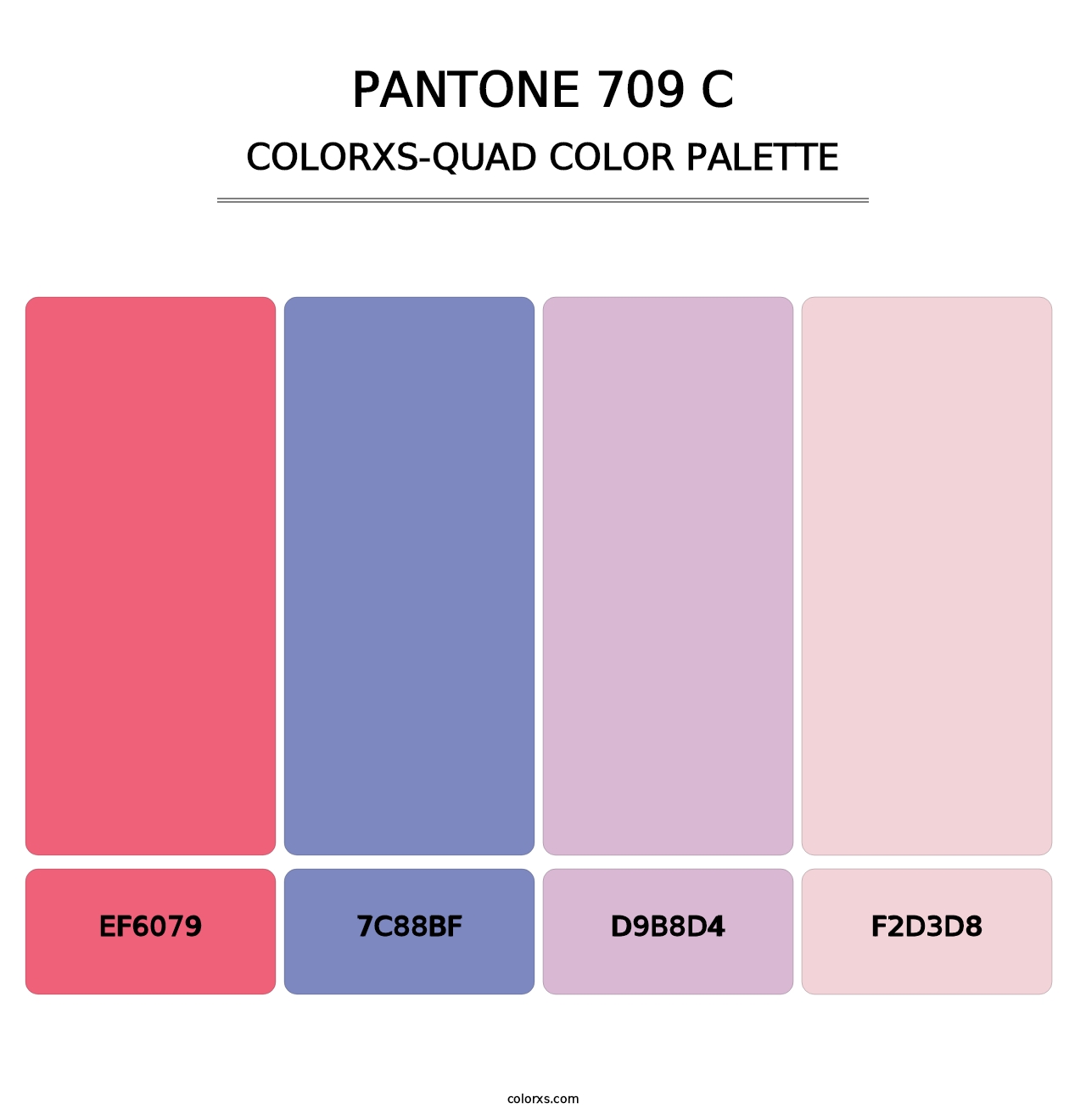 PANTONE 709 C - Colorxs Quad Palette