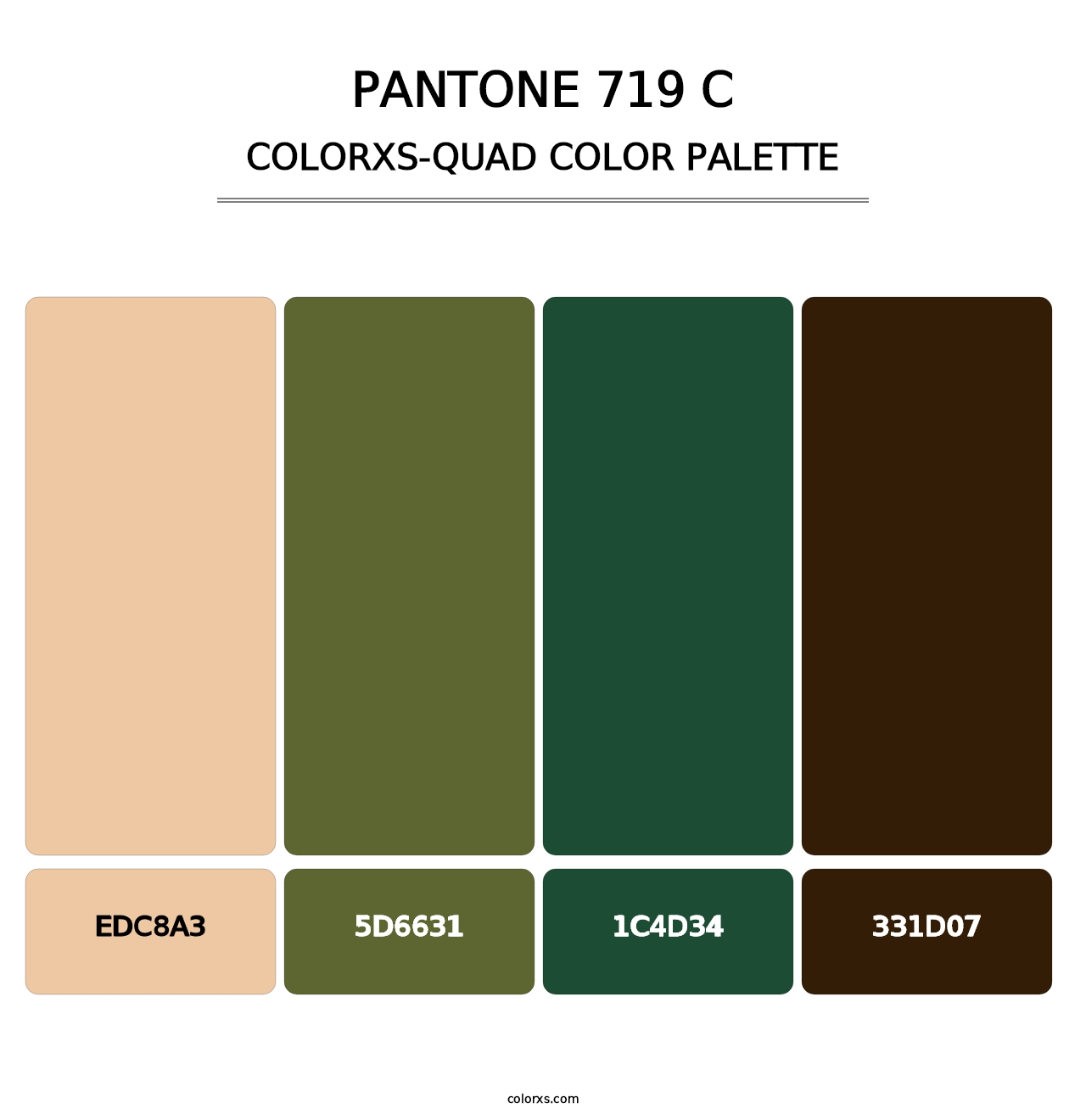 PANTONE 719 C - Colorxs Quad Palette