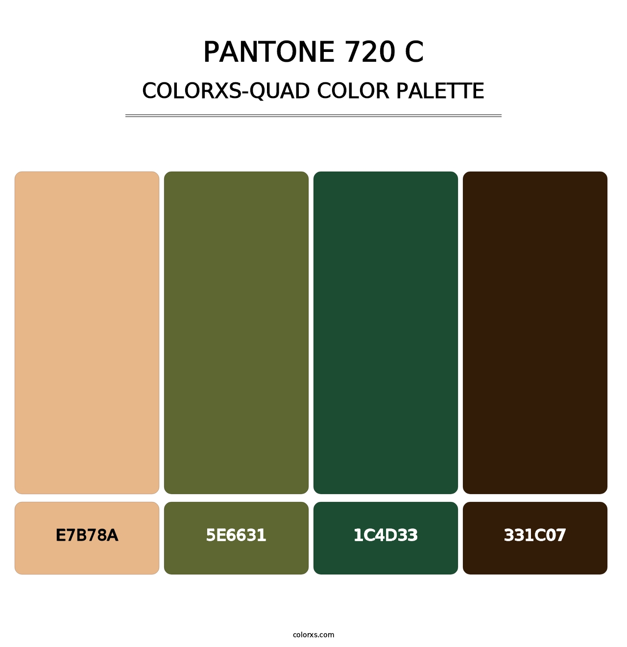 PANTONE 720 C - Colorxs Quad Palette