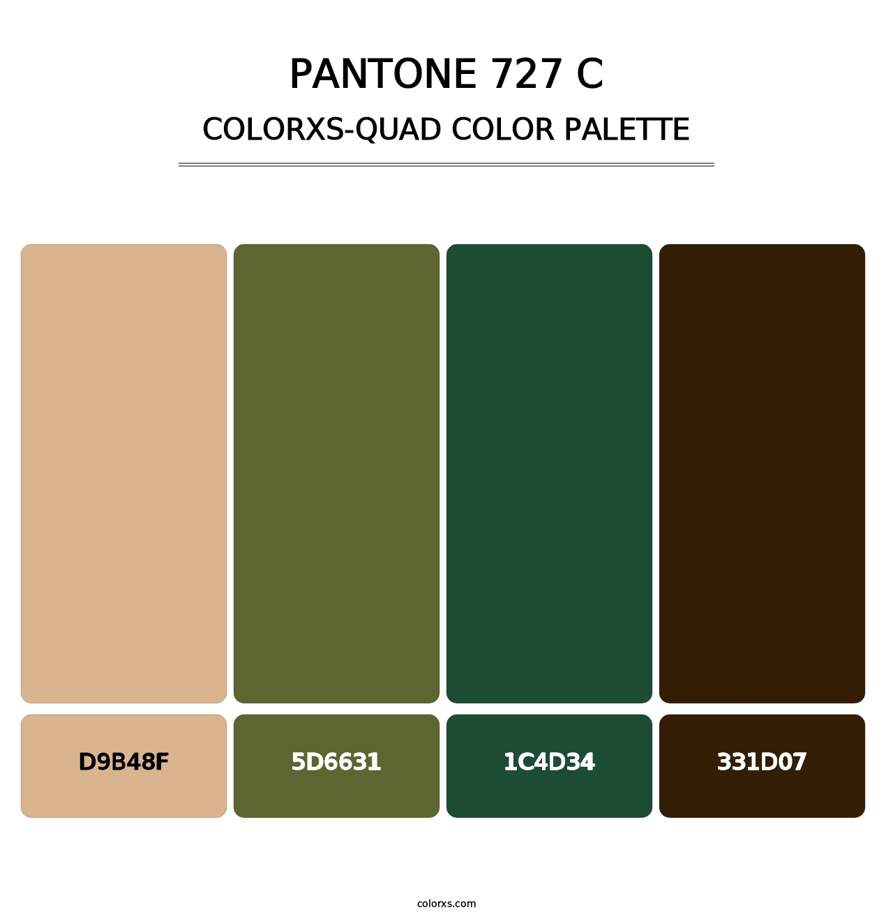PANTONE 727 C - Colorxs Quad Palette