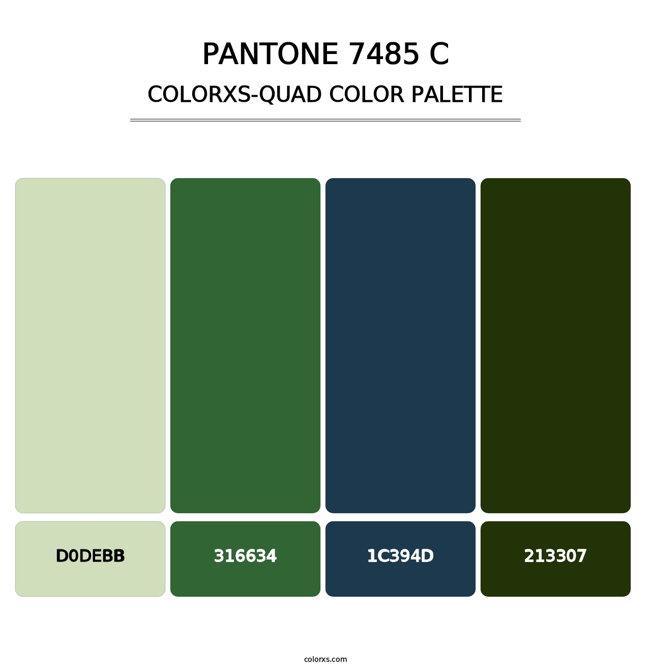PANTONE 7485 C - Colorxs Quad Palette