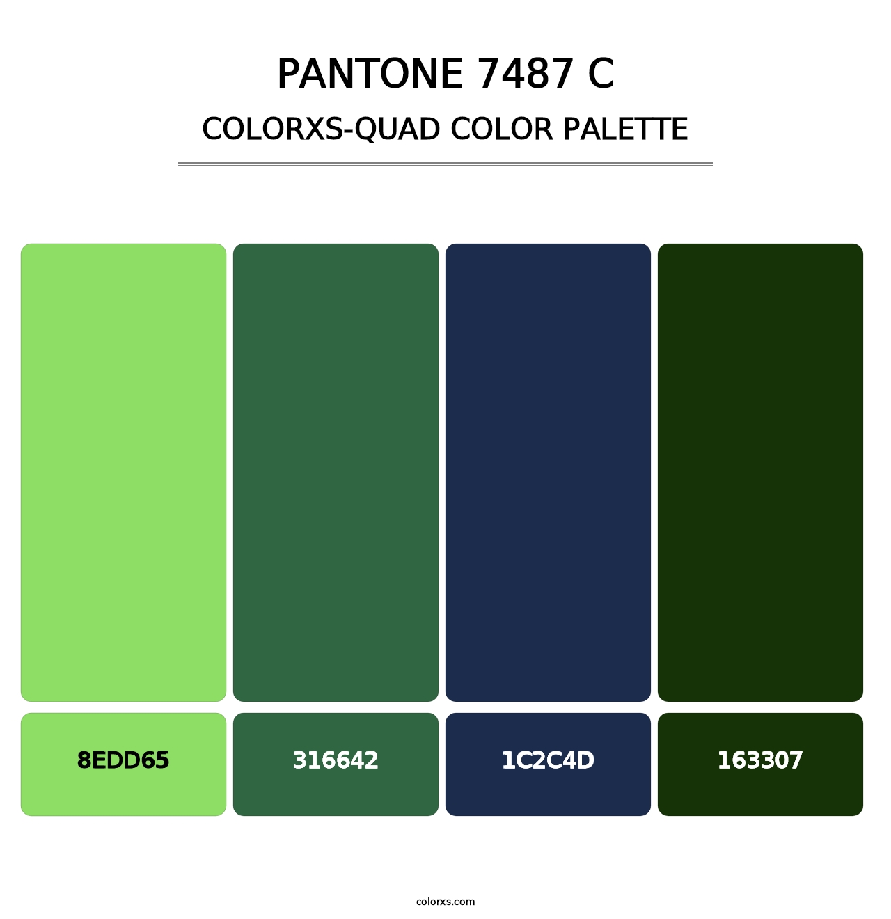 PANTONE 7487 C - Colorxs Quad Palette