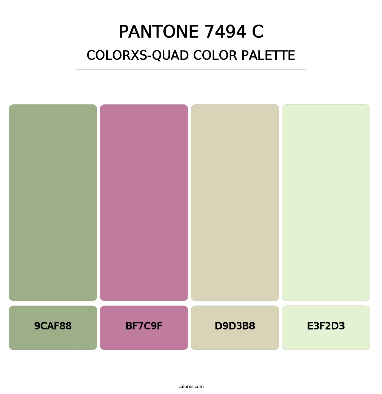 PANTONE 7494 C - Colorxs Quad Palette