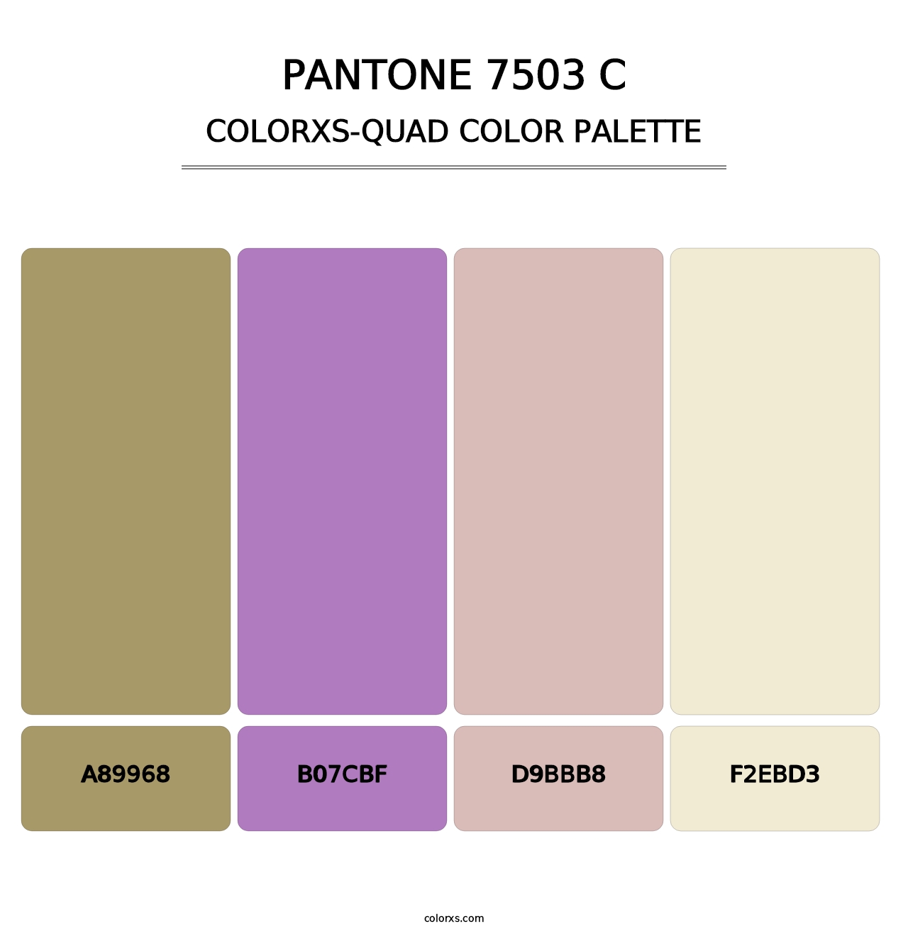 PANTONE 7503 C - Colorxs Quad Palette