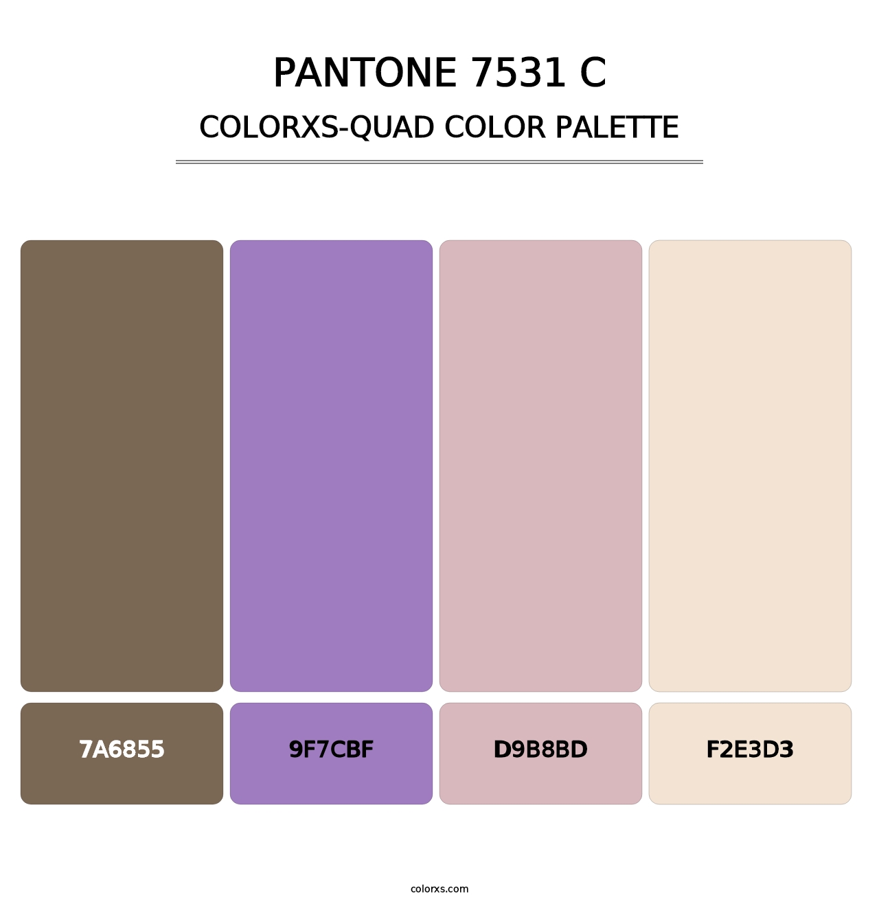 PANTONE 7531 C - Colorxs Quad Palette