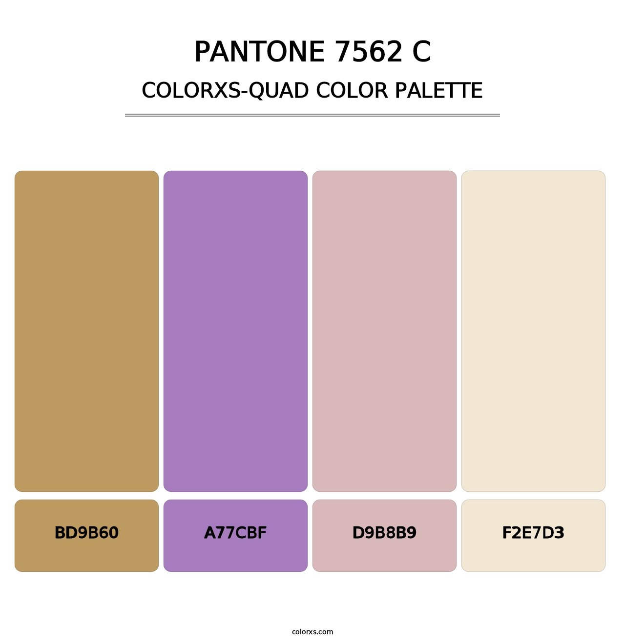 PANTONE 7562 C - Colorxs Quad Palette