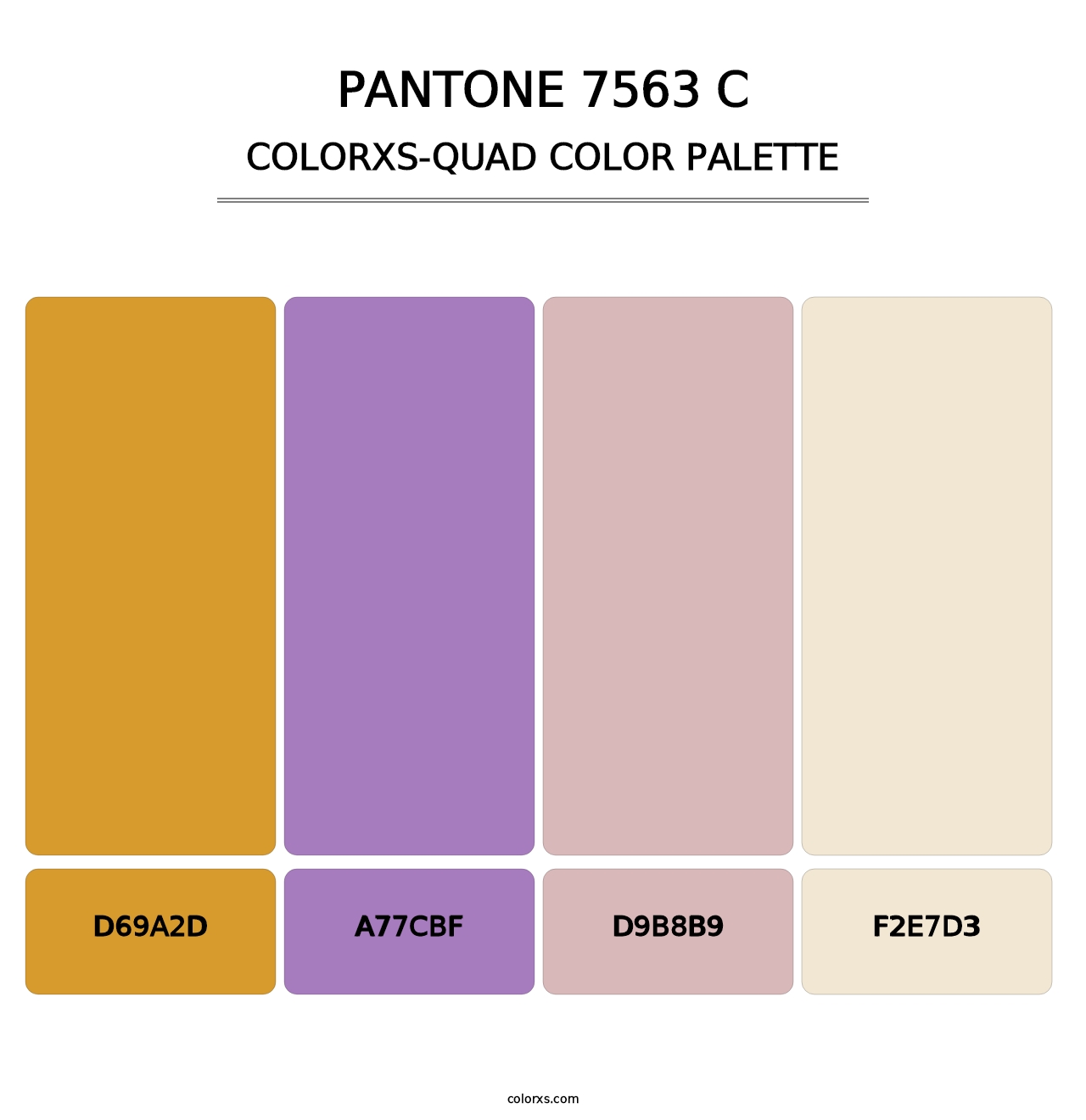 PANTONE 7563 C - Colorxs Quad Palette