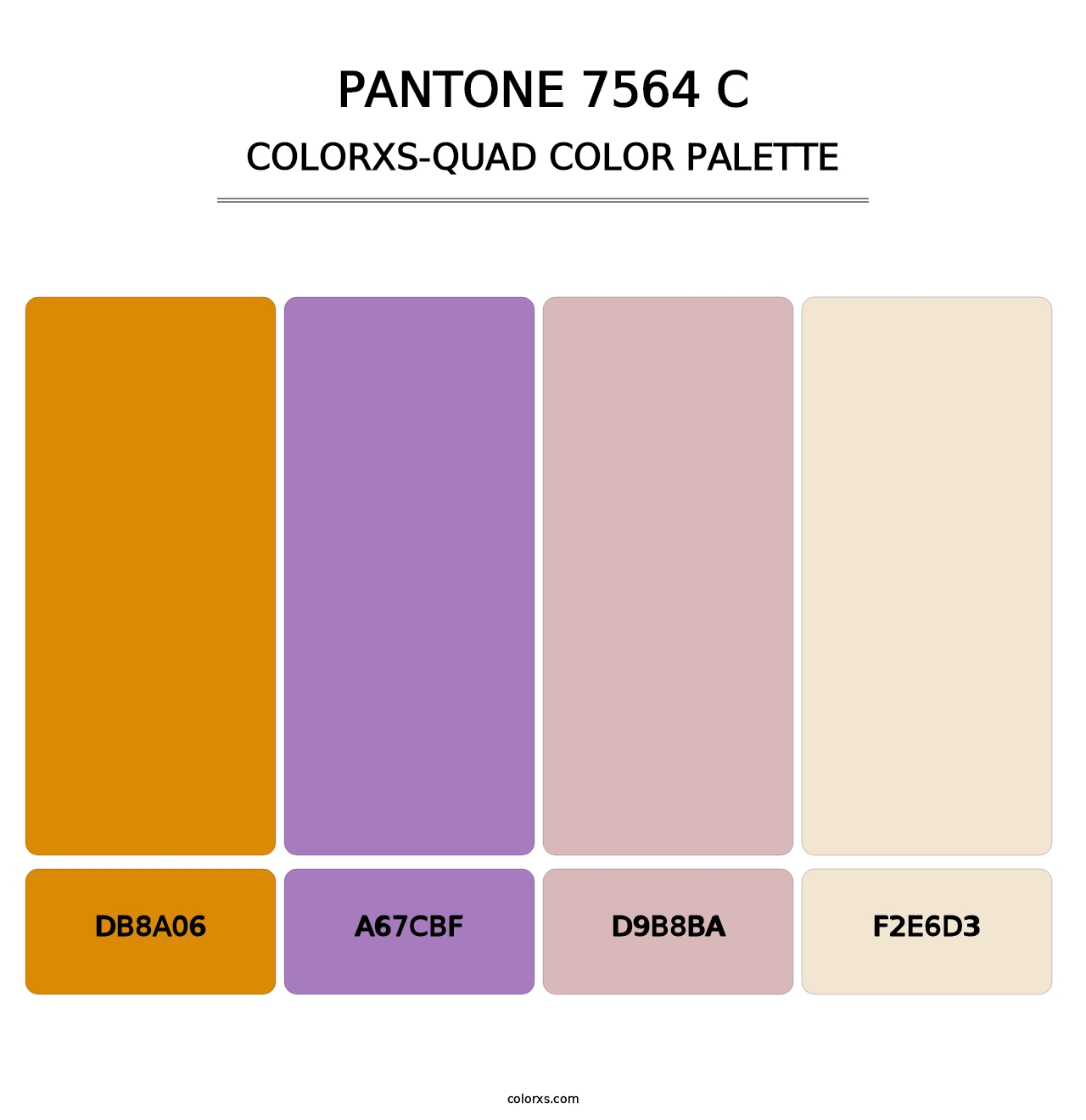 PANTONE 7564 C - Colorxs Quad Palette