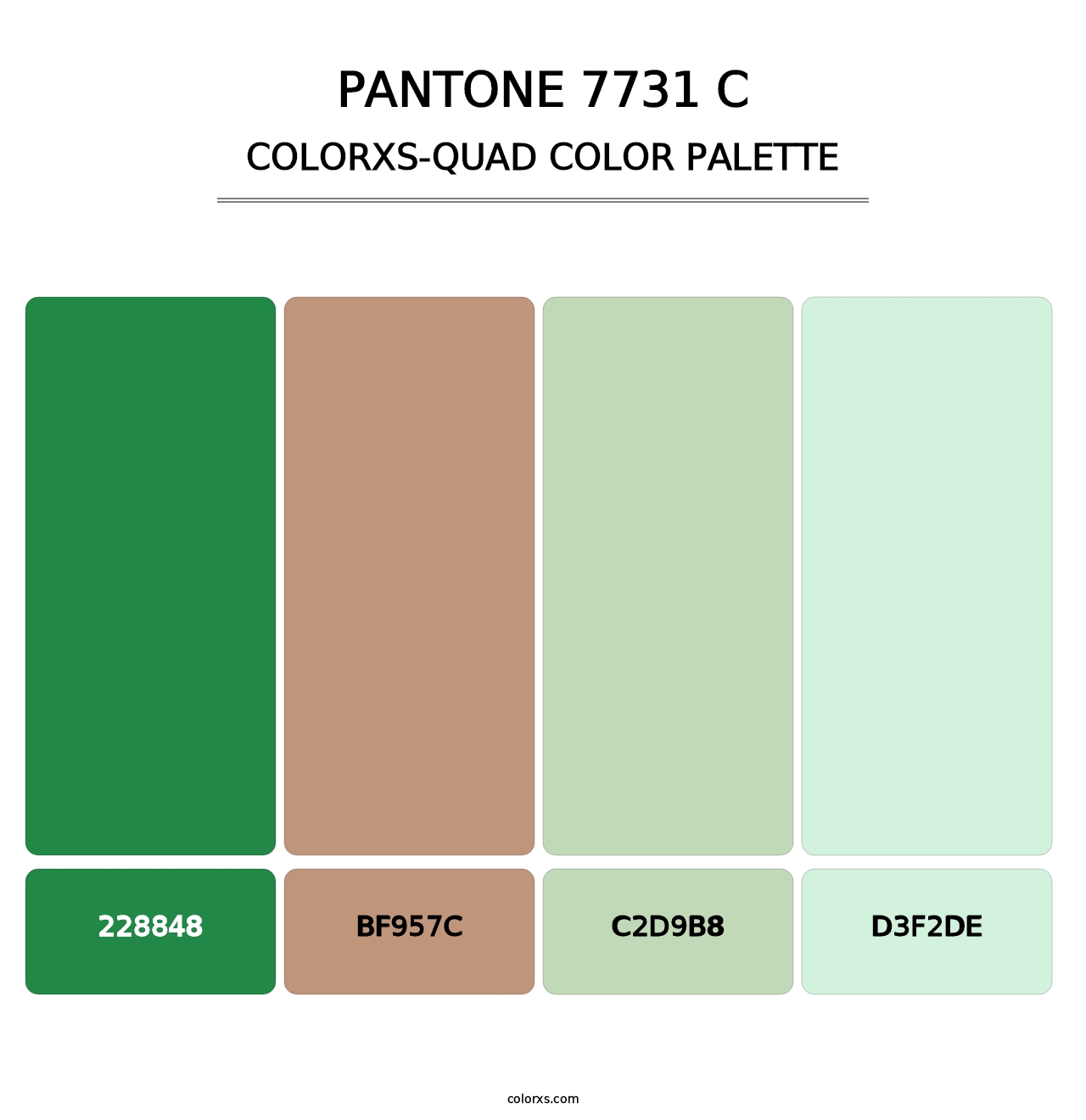 PANTONE 7731 C - Colorxs Quad Palette
