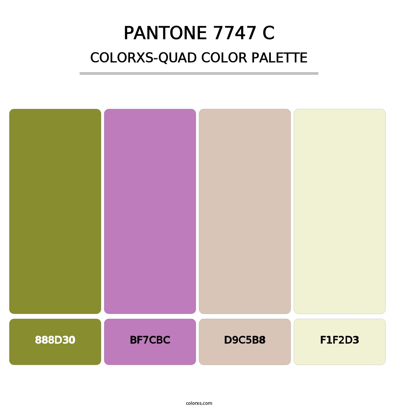 PANTONE 7747 C - Colorxs Quad Palette