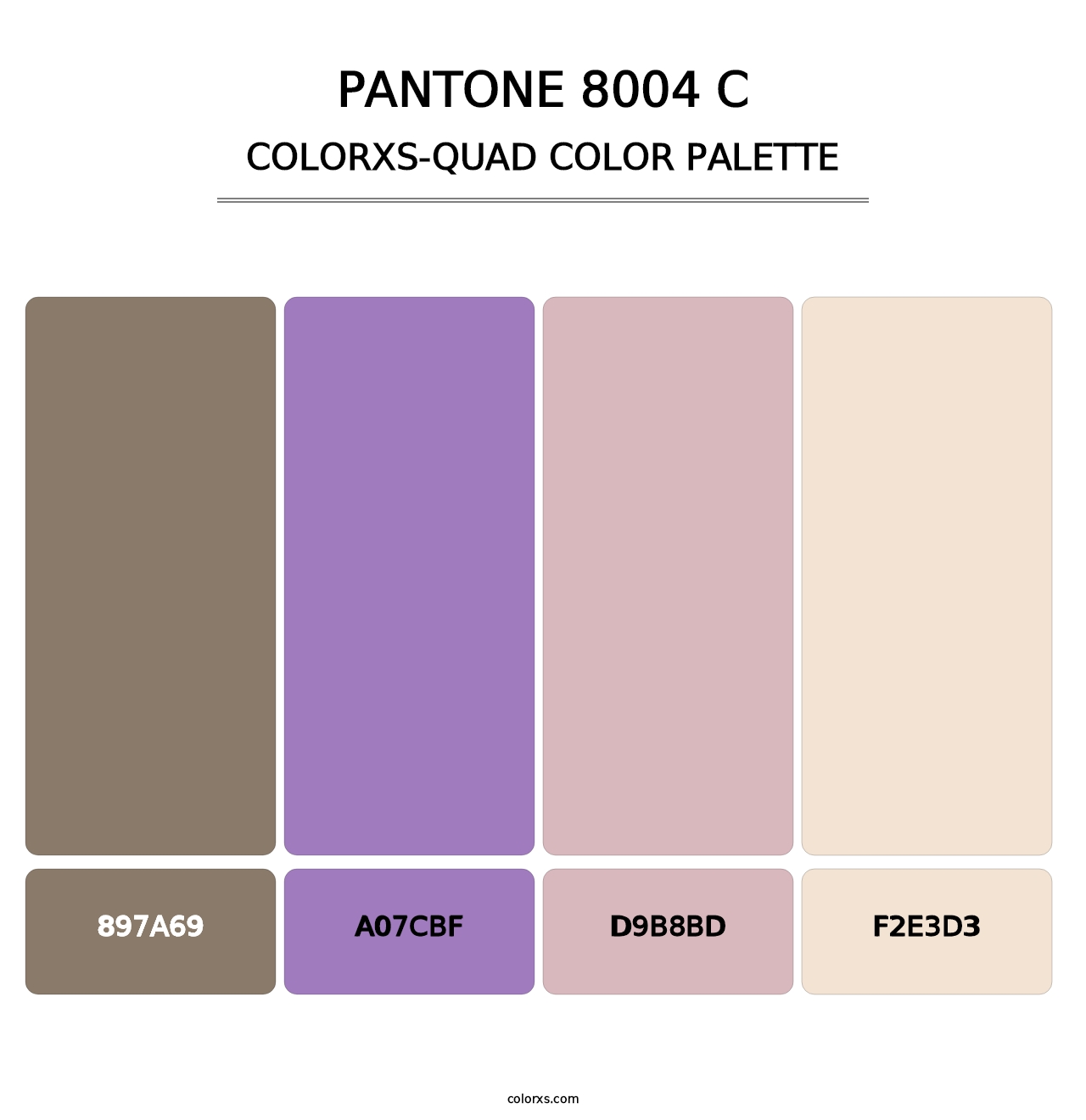 PANTONE 8004 C - Colorxs Quad Palette